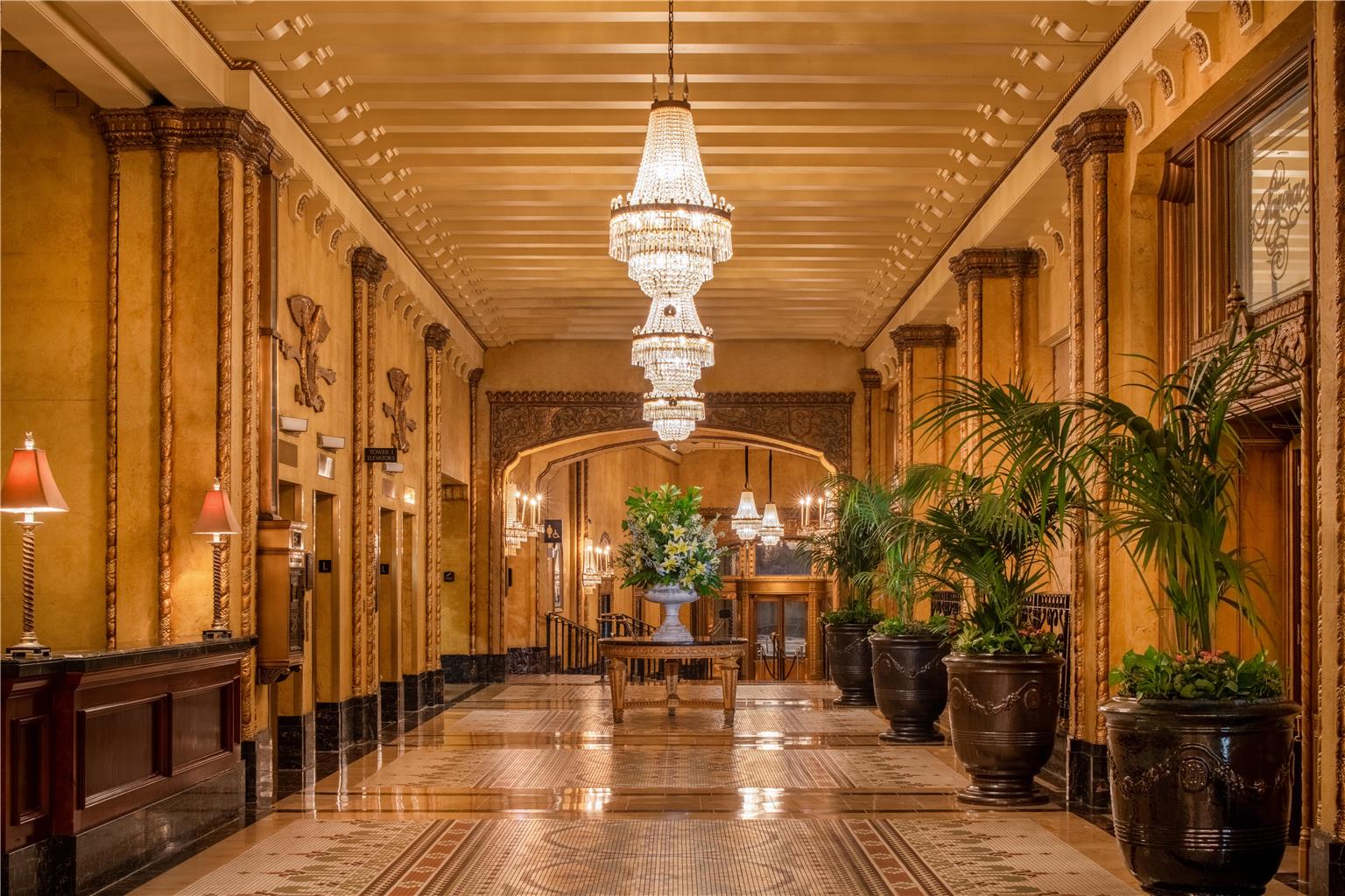 Guest photo