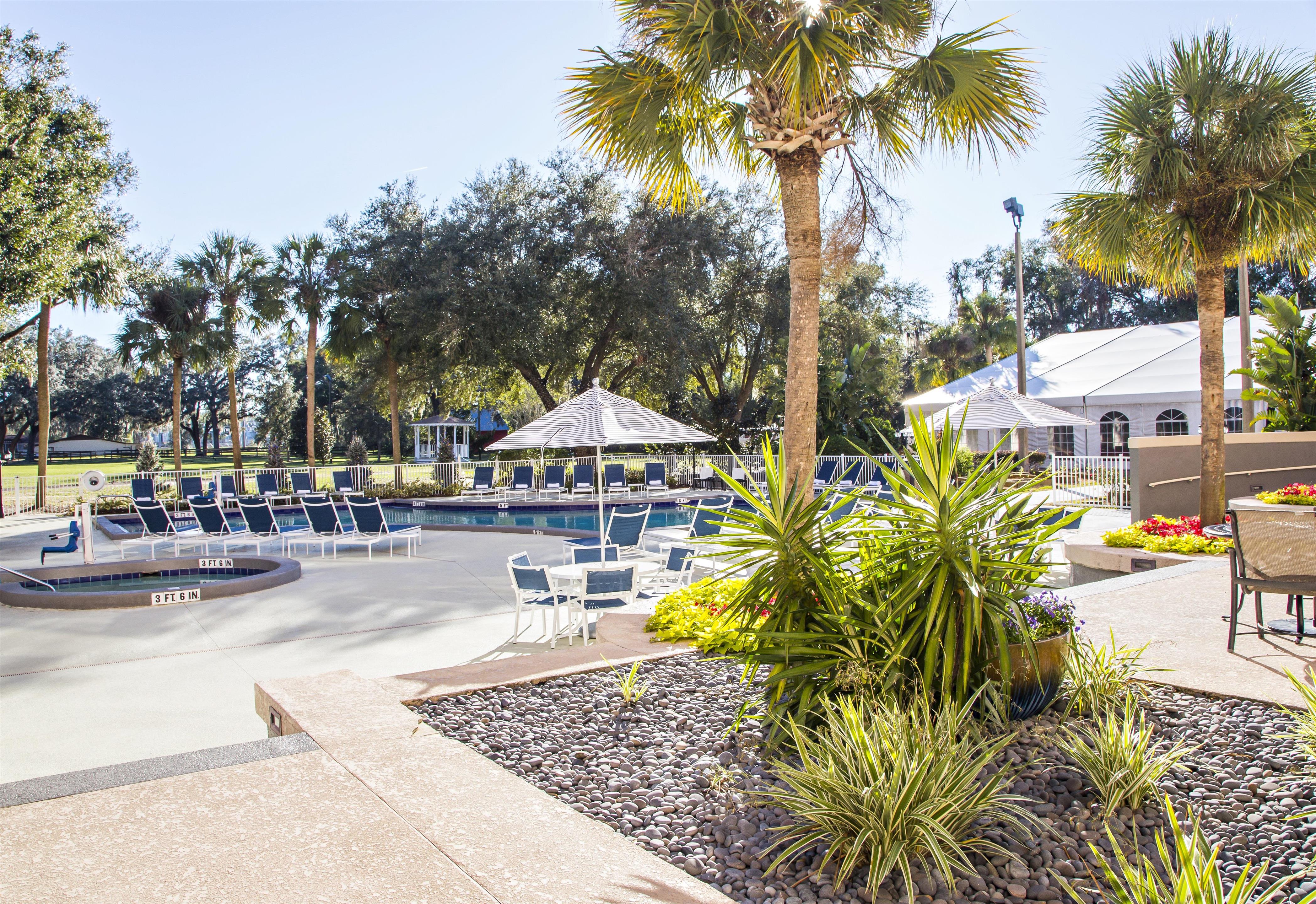 Pool | Hilton Ocala