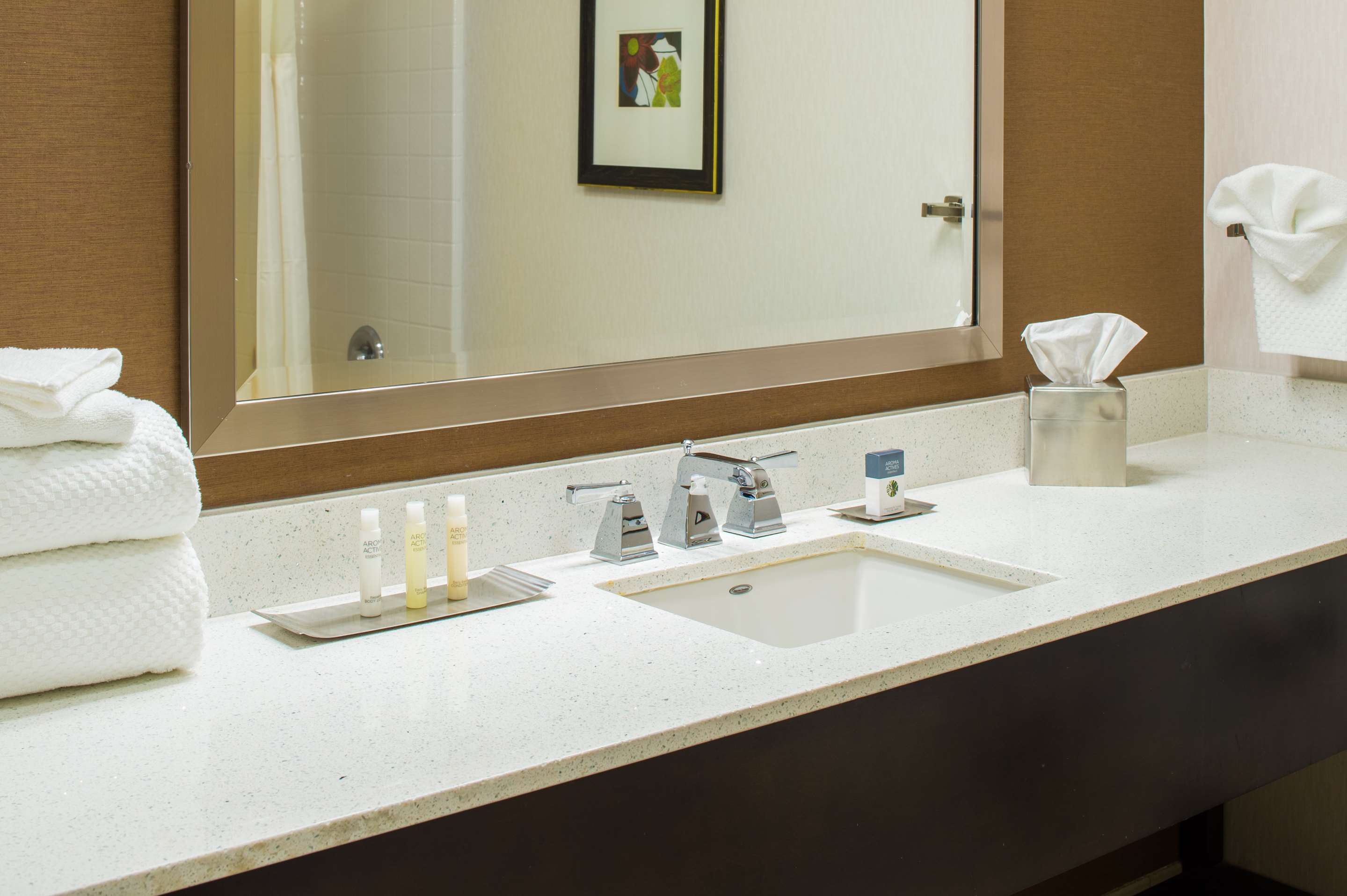 Guest room bath