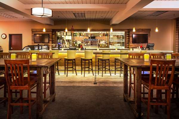 Bar - DoubleTree by Hilton Hotel Olympia