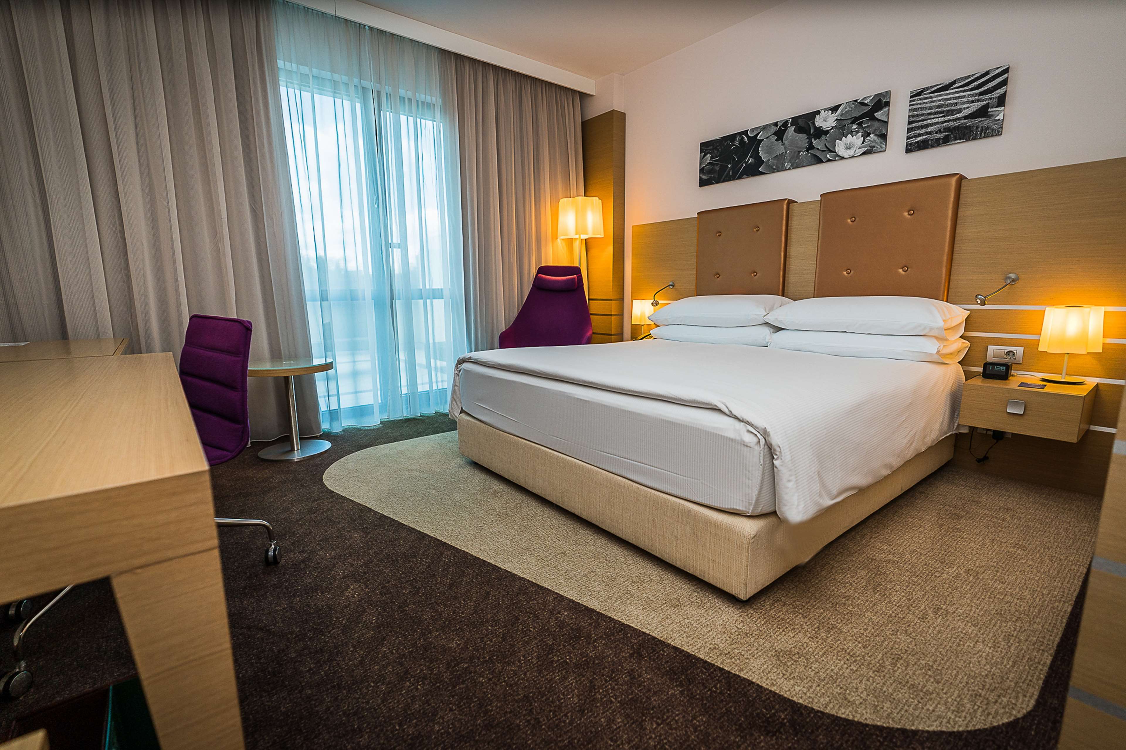 DoubleTree by Hilton Hotel Oradea Room Type - KING DLX WITH BALCONY VIEW