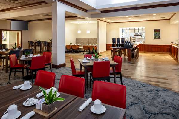 Restaurant - Hilton Garden Inn O'Hare Airport Des Plaines