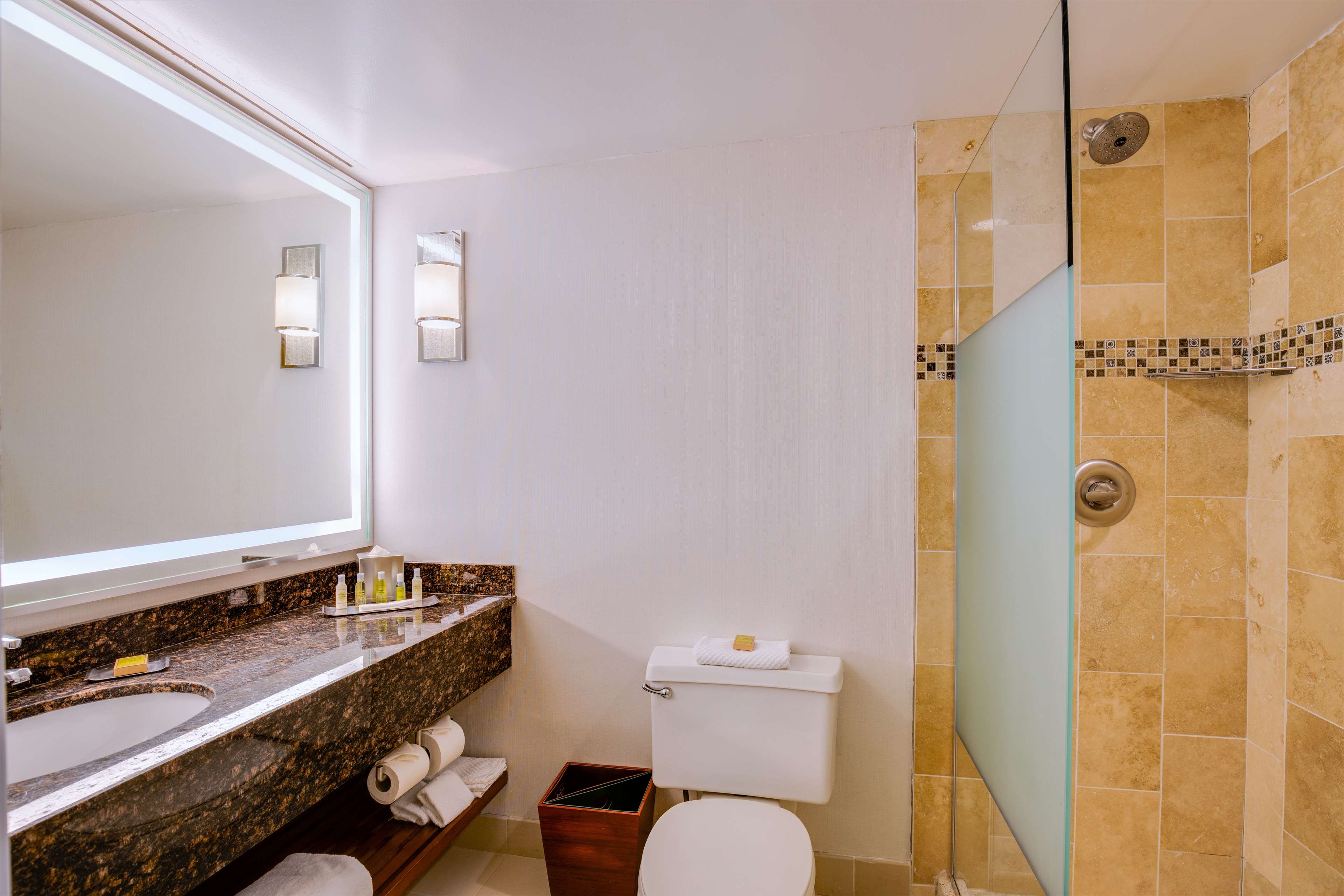 DoubleTree Suites by Hilton Hotel & Conference Center Chicago-Downers Grove Room Type - 1 BR KING STE WITH SLEEPER