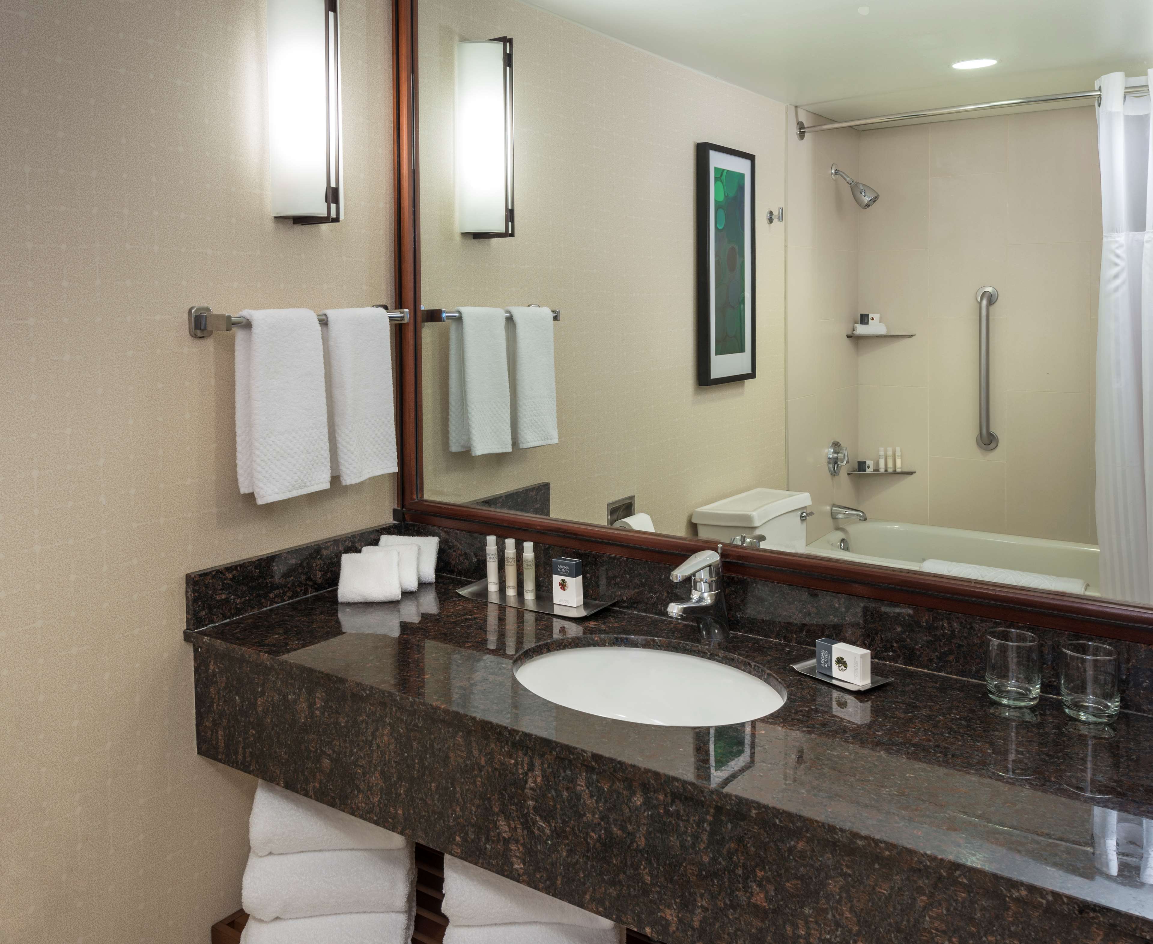 DoubleTree Suites by Hilton Hotel & Conference Center Chicago-Downers Grove Room Type - 1 KG STE HEAR ACC NO SMOK