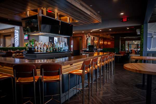 Bar - DoubleTree Suites by Hilton Downers Grove - I-355, Exit 22
