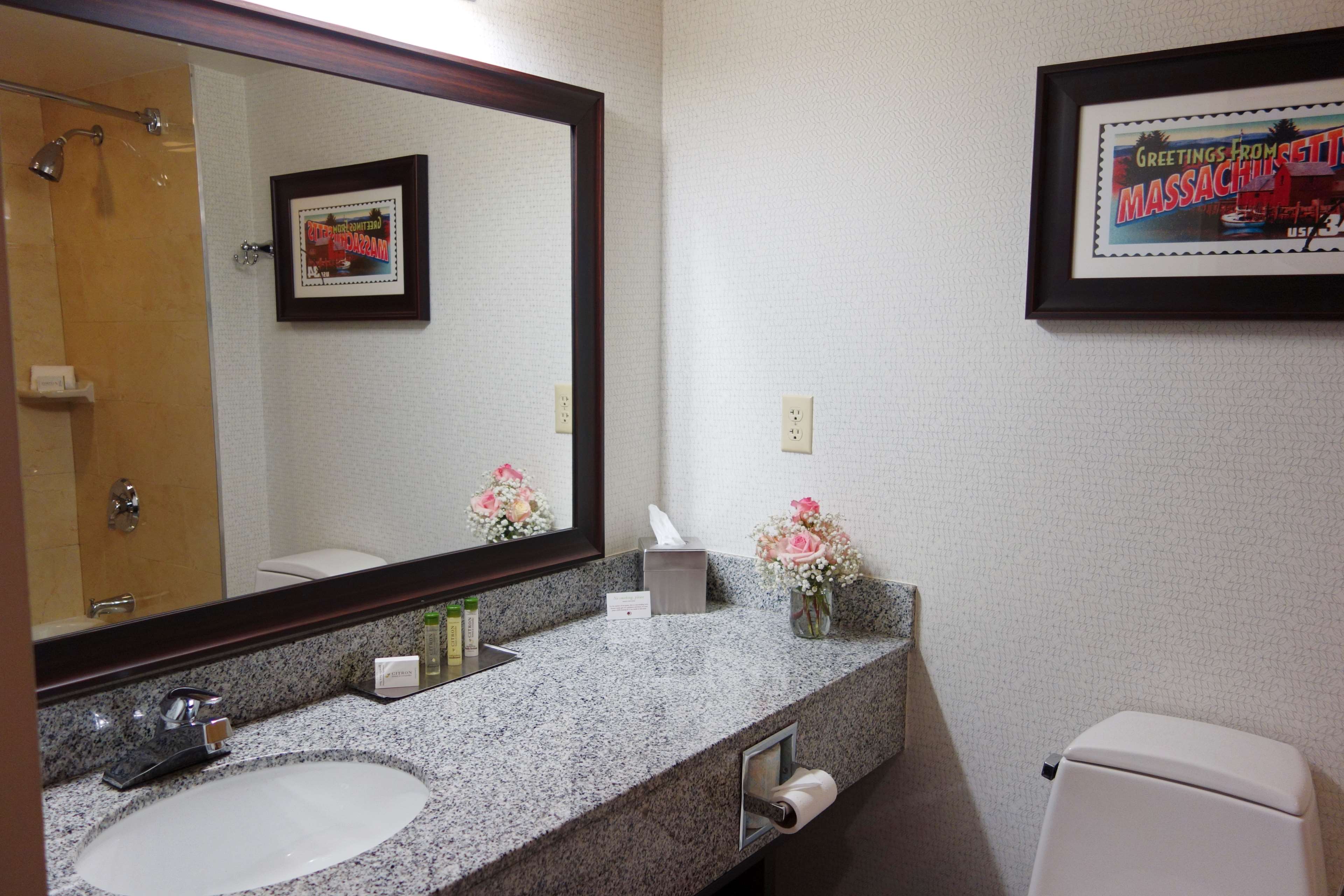 DoubleTree by Hilton Leominster Room Type - 1 KING BED W PULLOUT SOFA