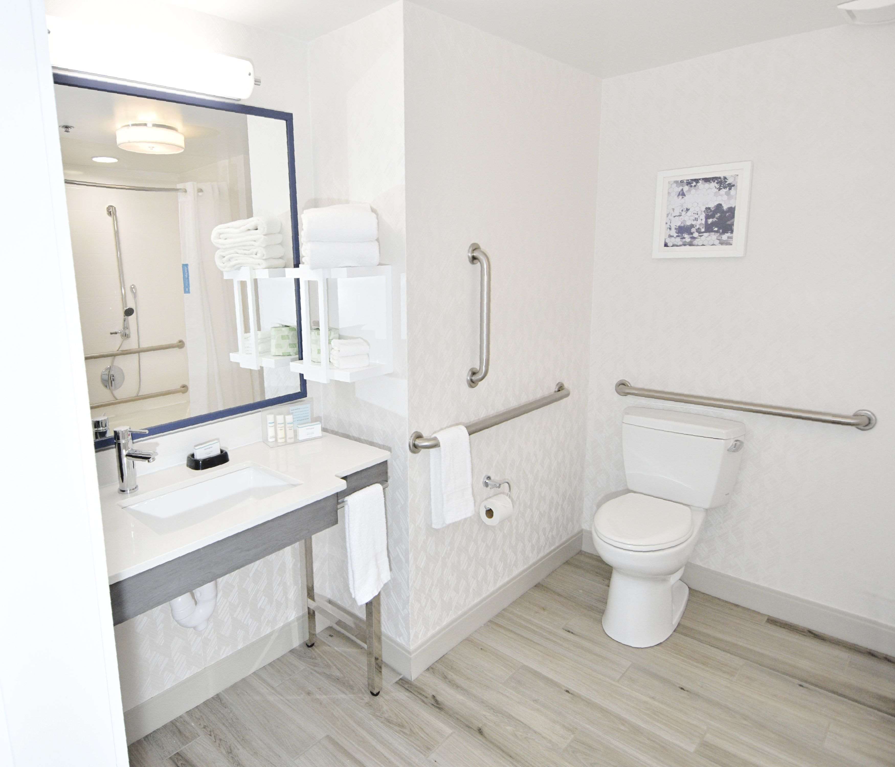 Hampton Inn Auburn Room Type - 1KNG MOB HEAR ACC W TUB NS