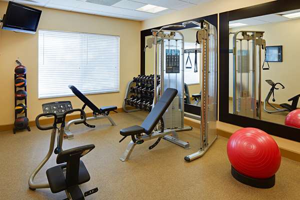 Fitness/ Exercise Room - Hilton Garden Inn Orlando International Drive Orlando - I-4, Exit 75B