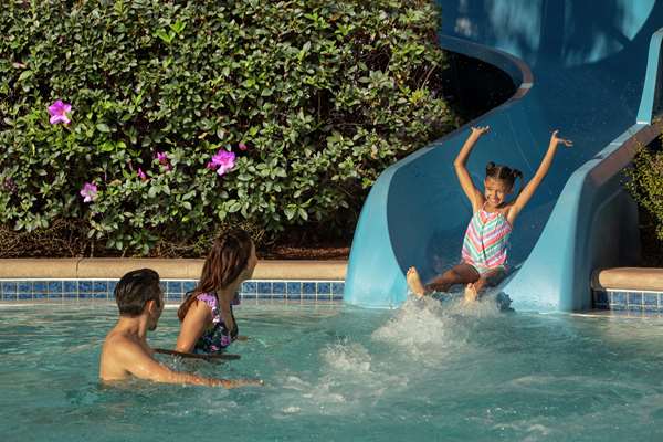 Pool - Hilton Hotel Orlando - I-4, Exit 72