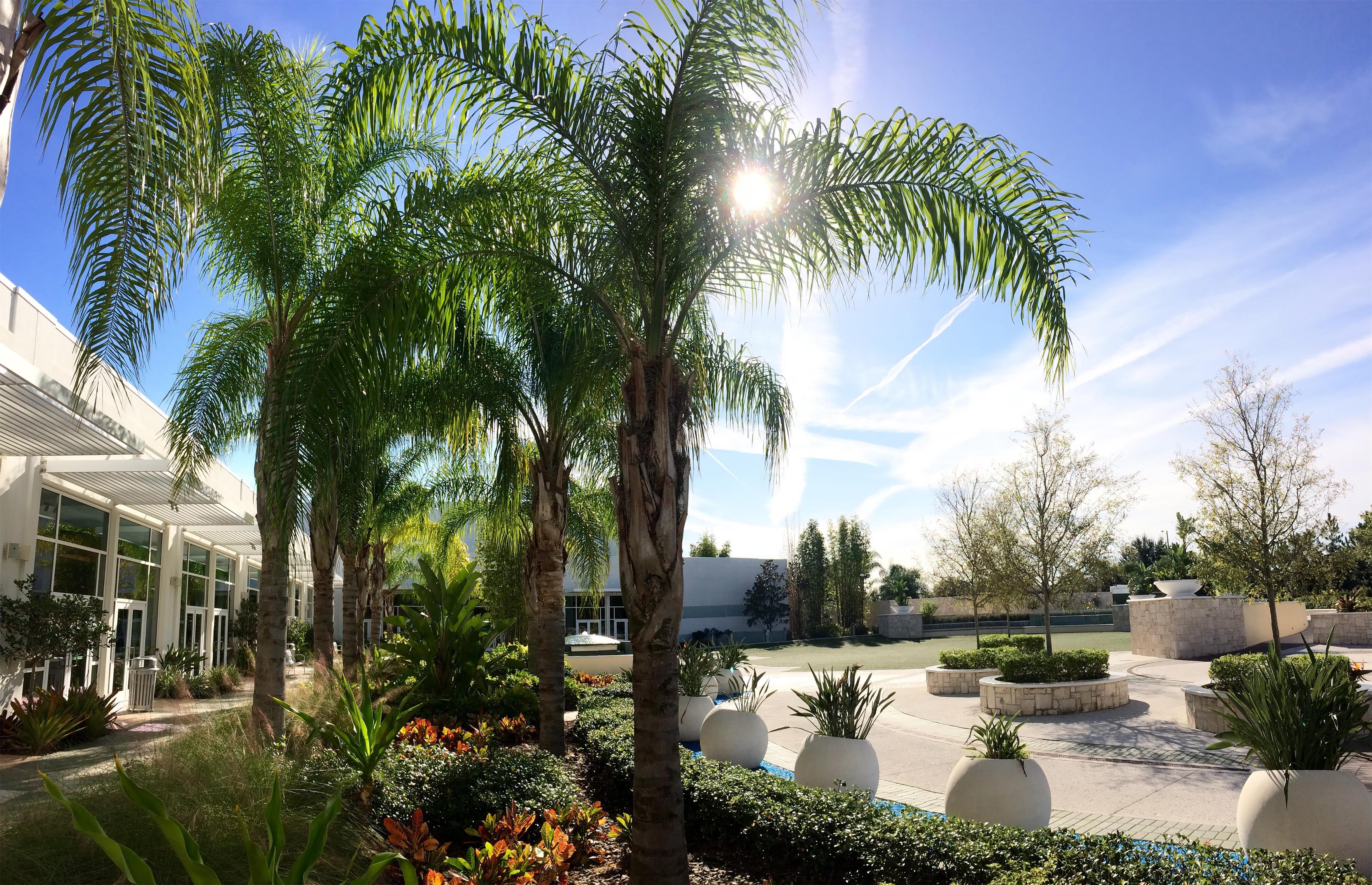 Meeting Room | Hilton Orlando