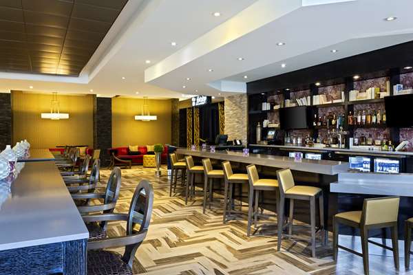 Bar - DoubleTree by Hilton Hotel Orlando