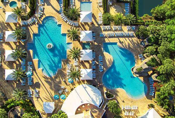 Pool - Hilton Grand Vacations Hotel SeaWorld Orlando - I-4, Exits 71 & 72