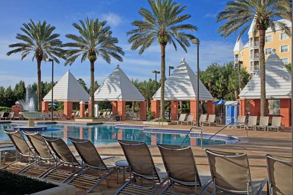 Pool - Hilton Grand Vacations Hotel SeaWorld Orlando - I-4, Exits 71 & 72