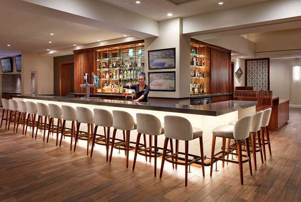 Bar - Hilton Hotel Pasadena