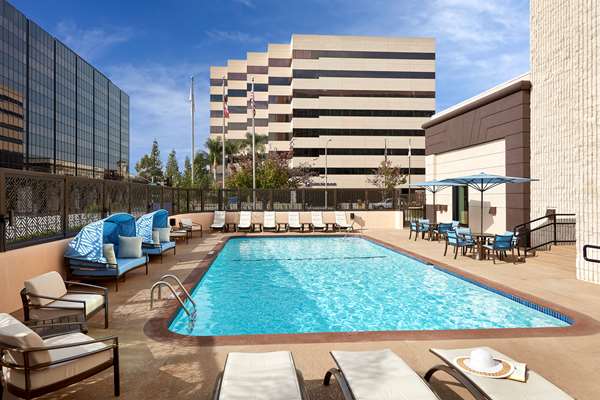 Pool - Hilton Hotel Pasadena
