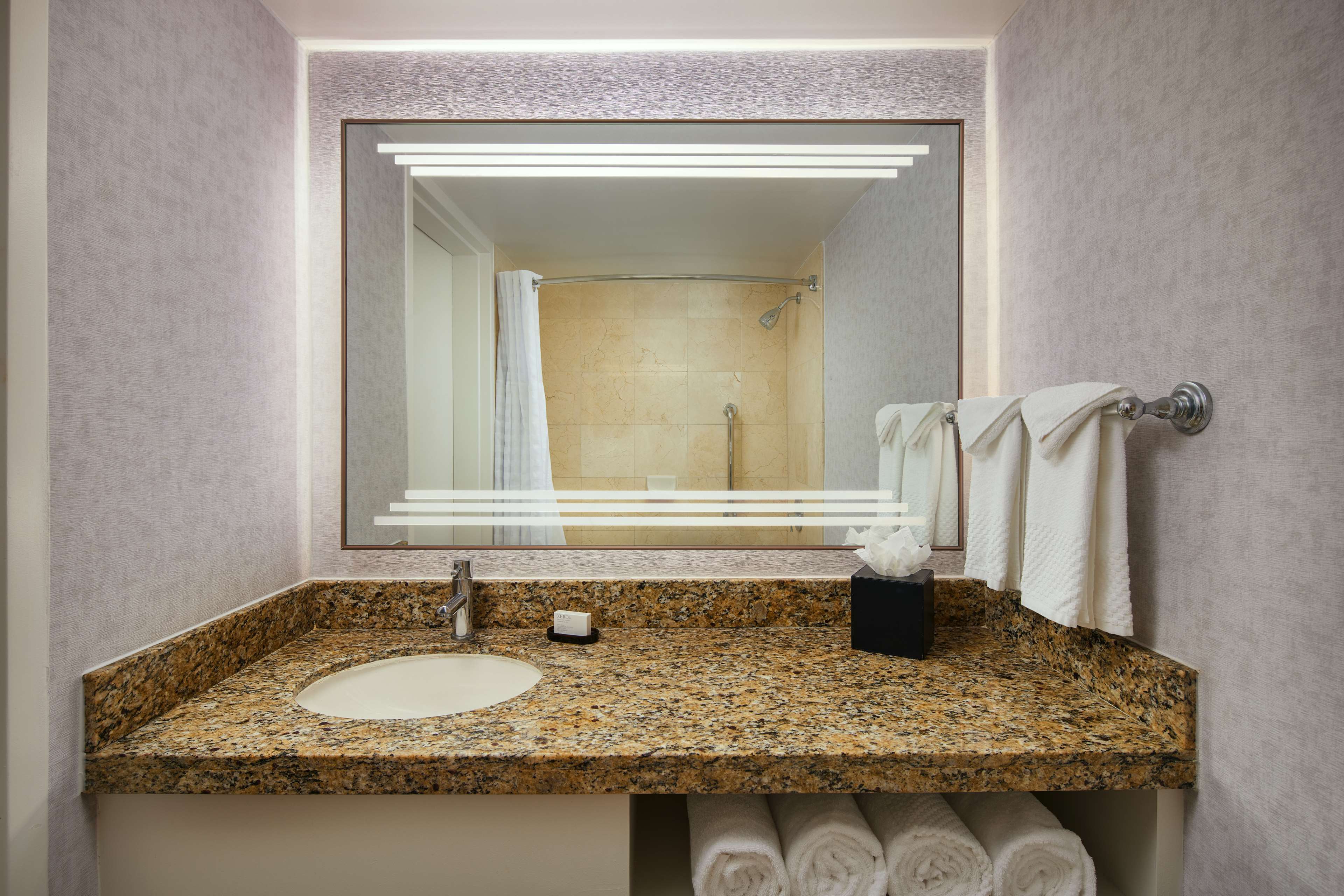 Embassy Suites by Hilton West Palm Beach Central Room Type - 2 QUEEN BED 2 ROOM