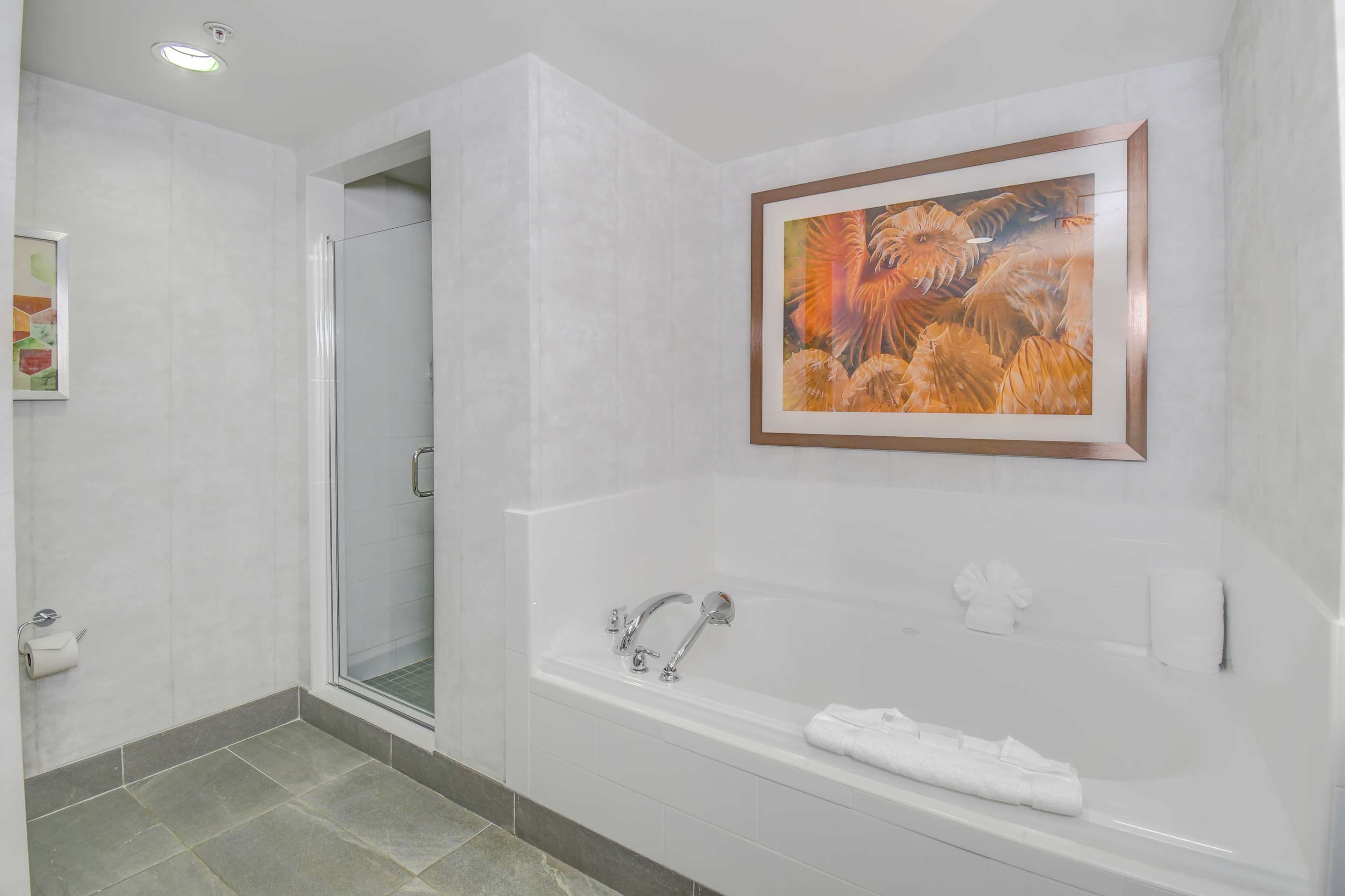 Guest room bath