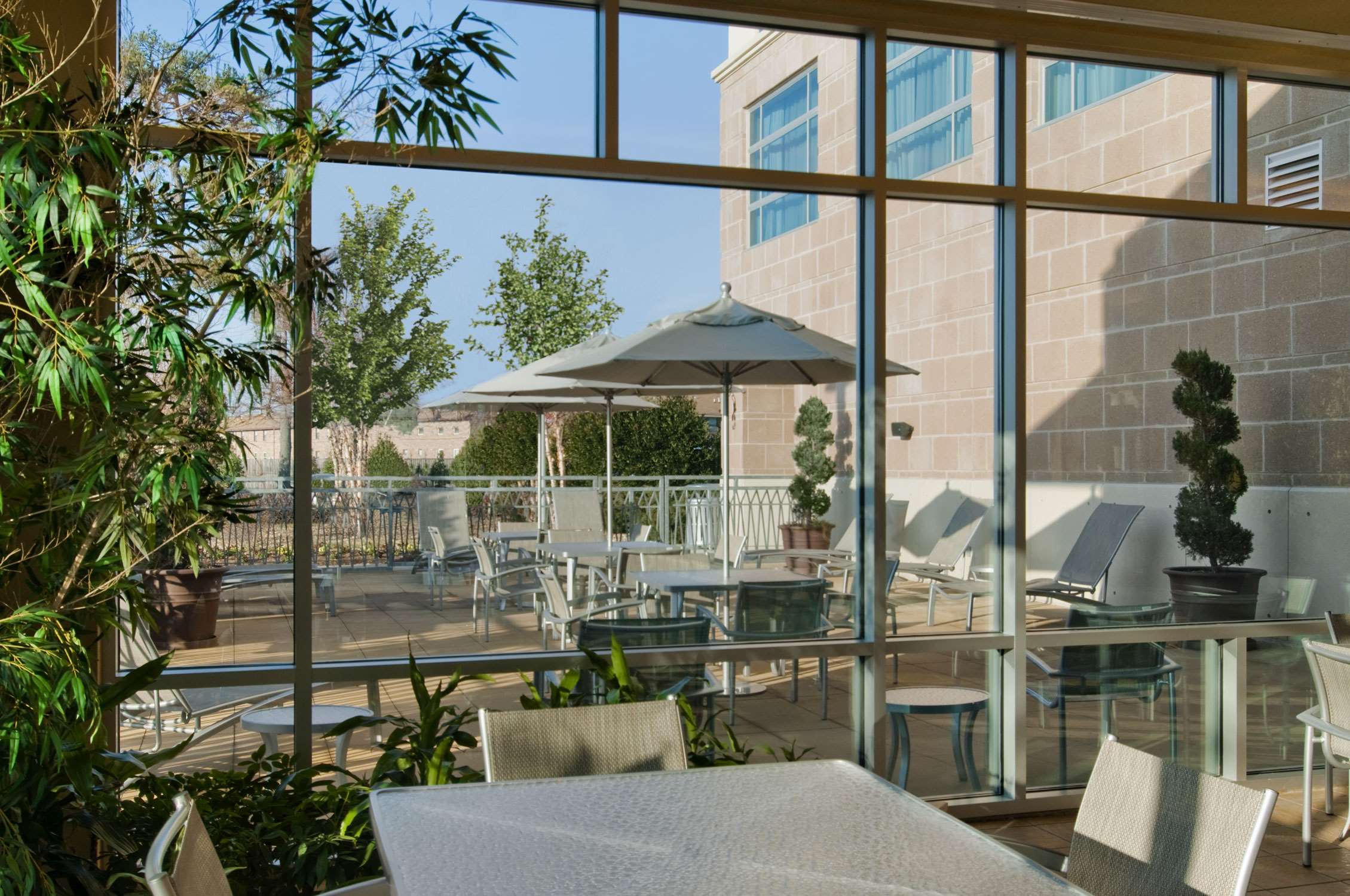 Pool | Embassy Suites by Hilton Hampton Convention Center