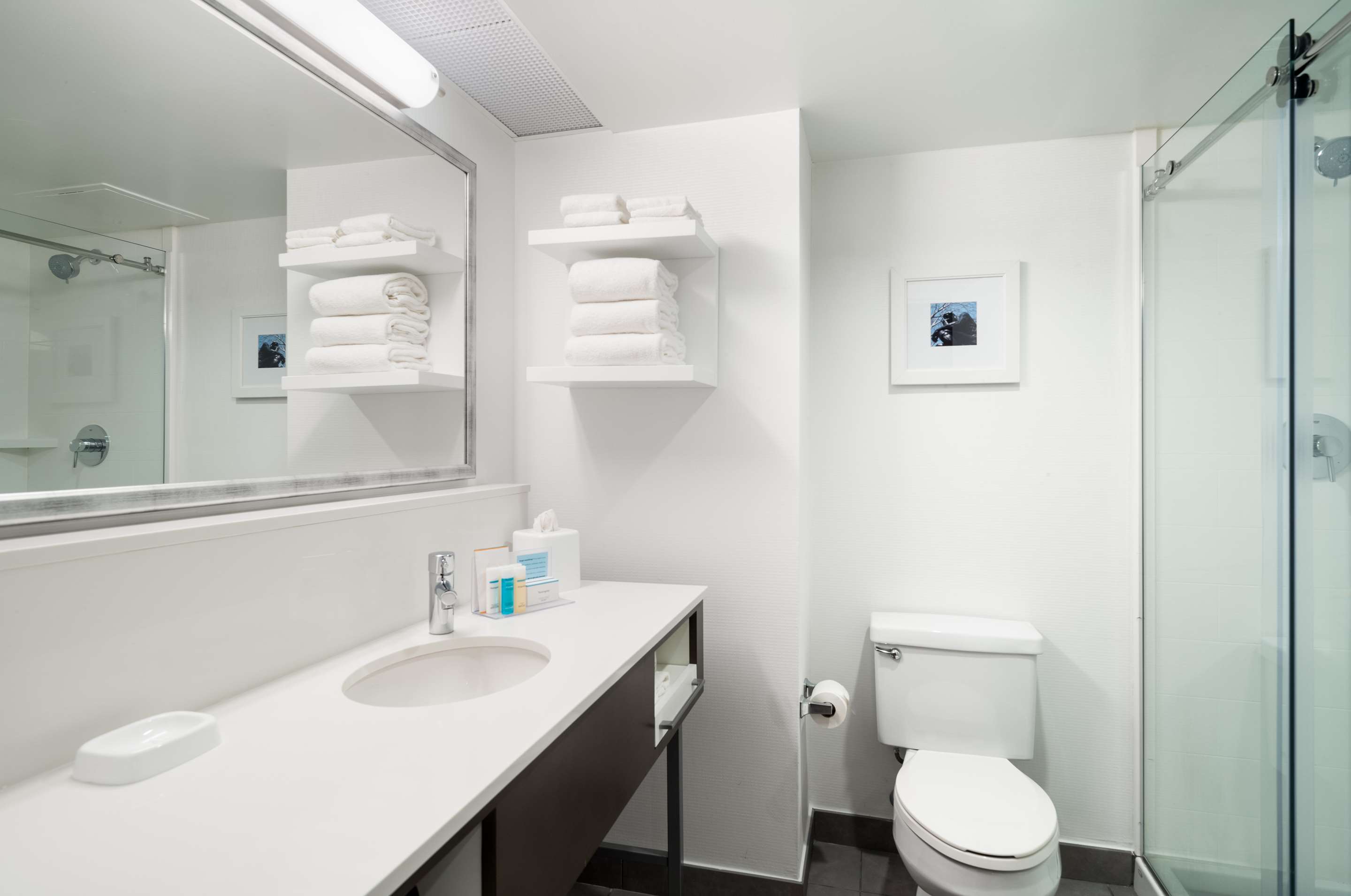 Guest room bath