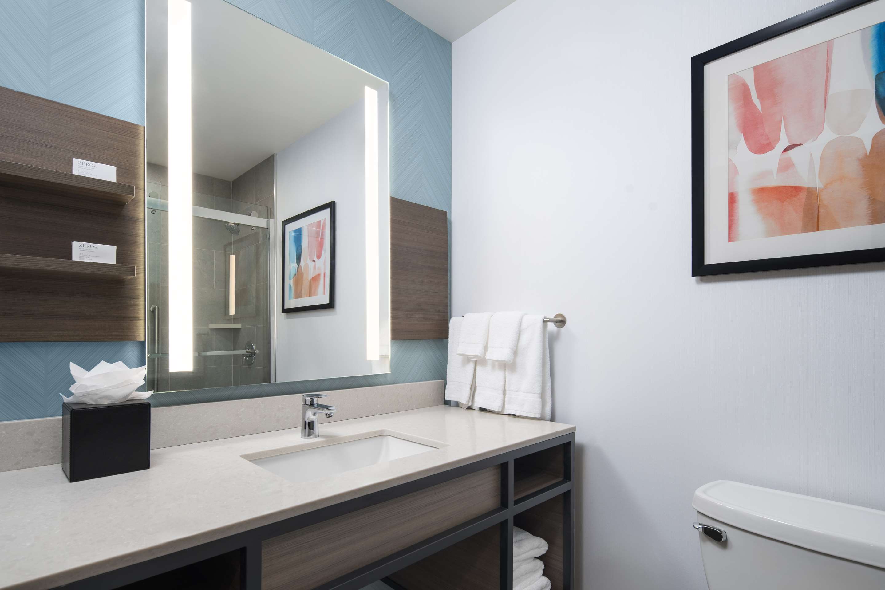 Guest room bath