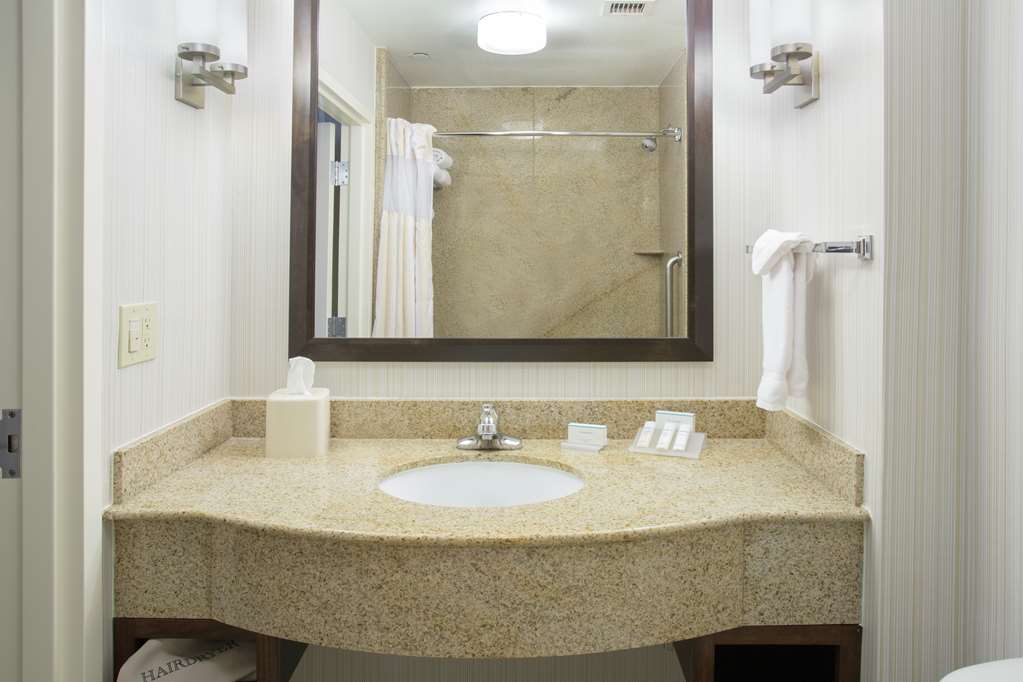 Hilton Garden Inn Avondale Room Type - 1 KNG JR STE HEARING ACC