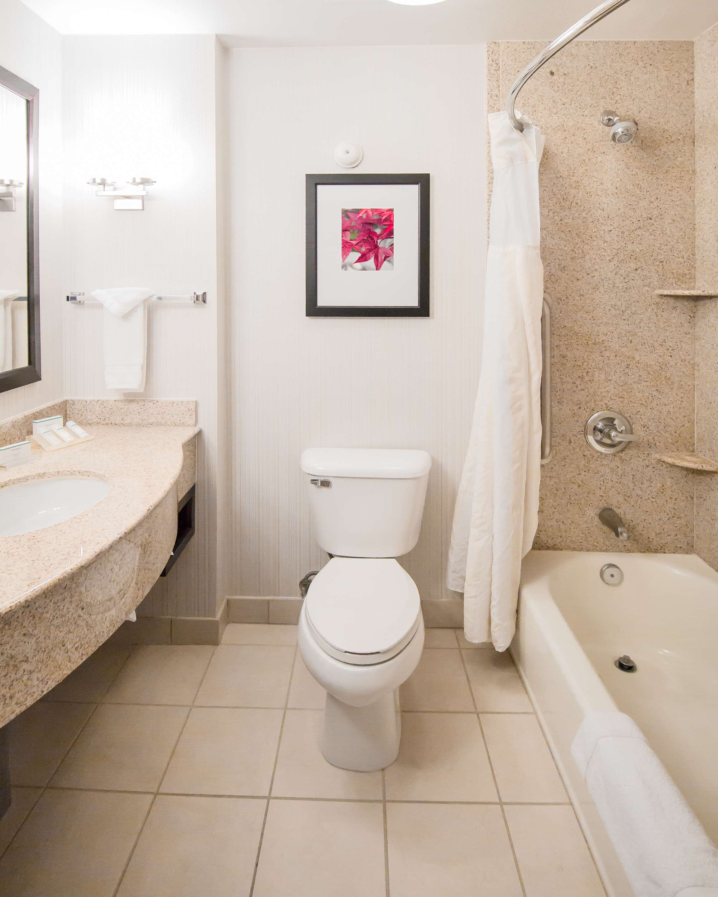 Guest room bath