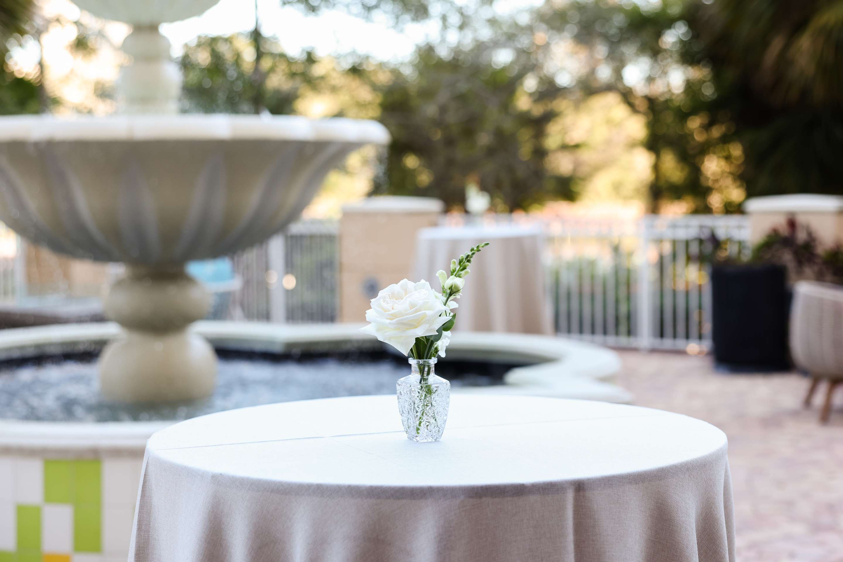 Meeting Room | Hilton St. Petersburg Carillon Park