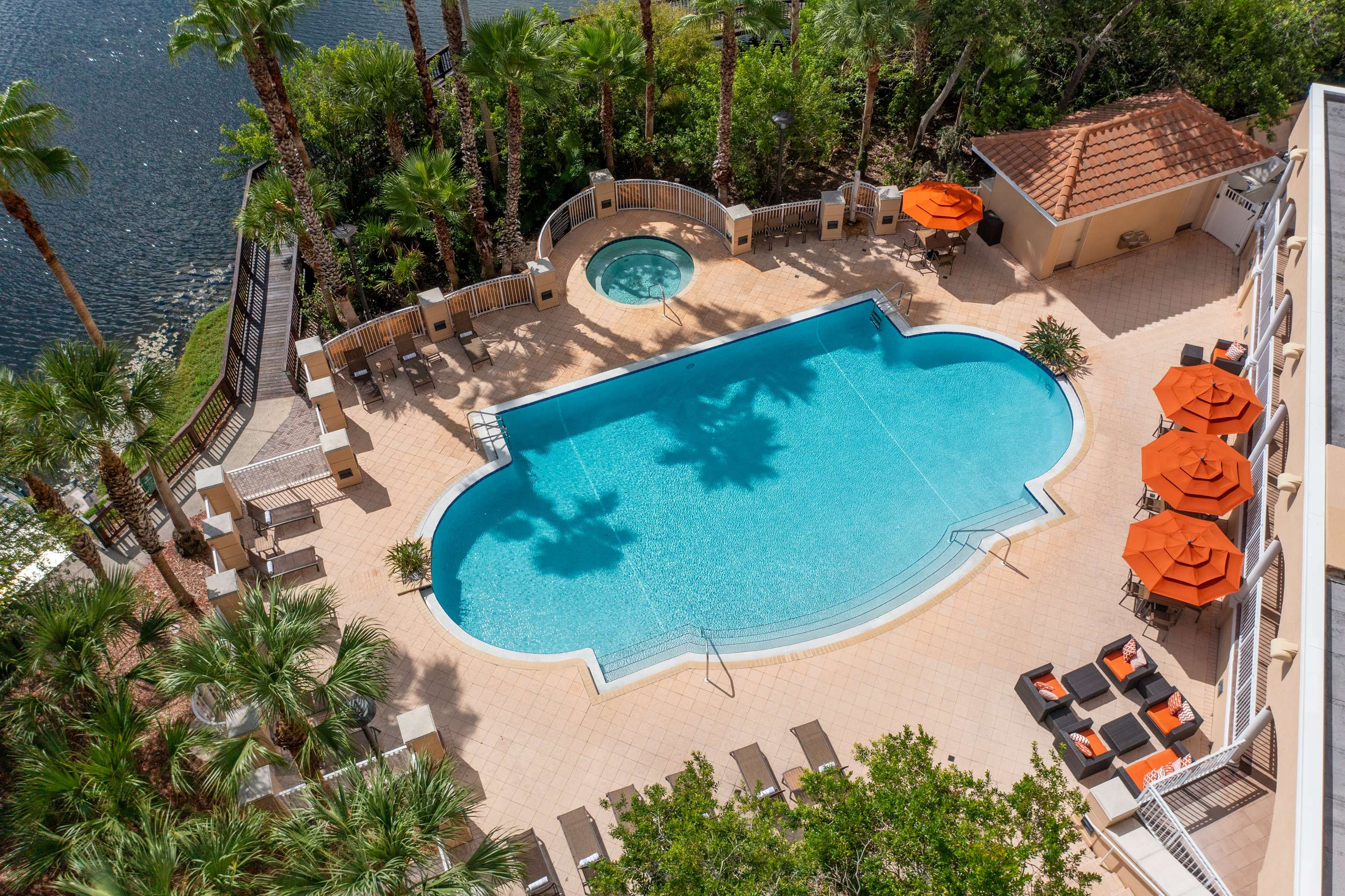 Pool | Hilton St. Petersburg Carillon Park
