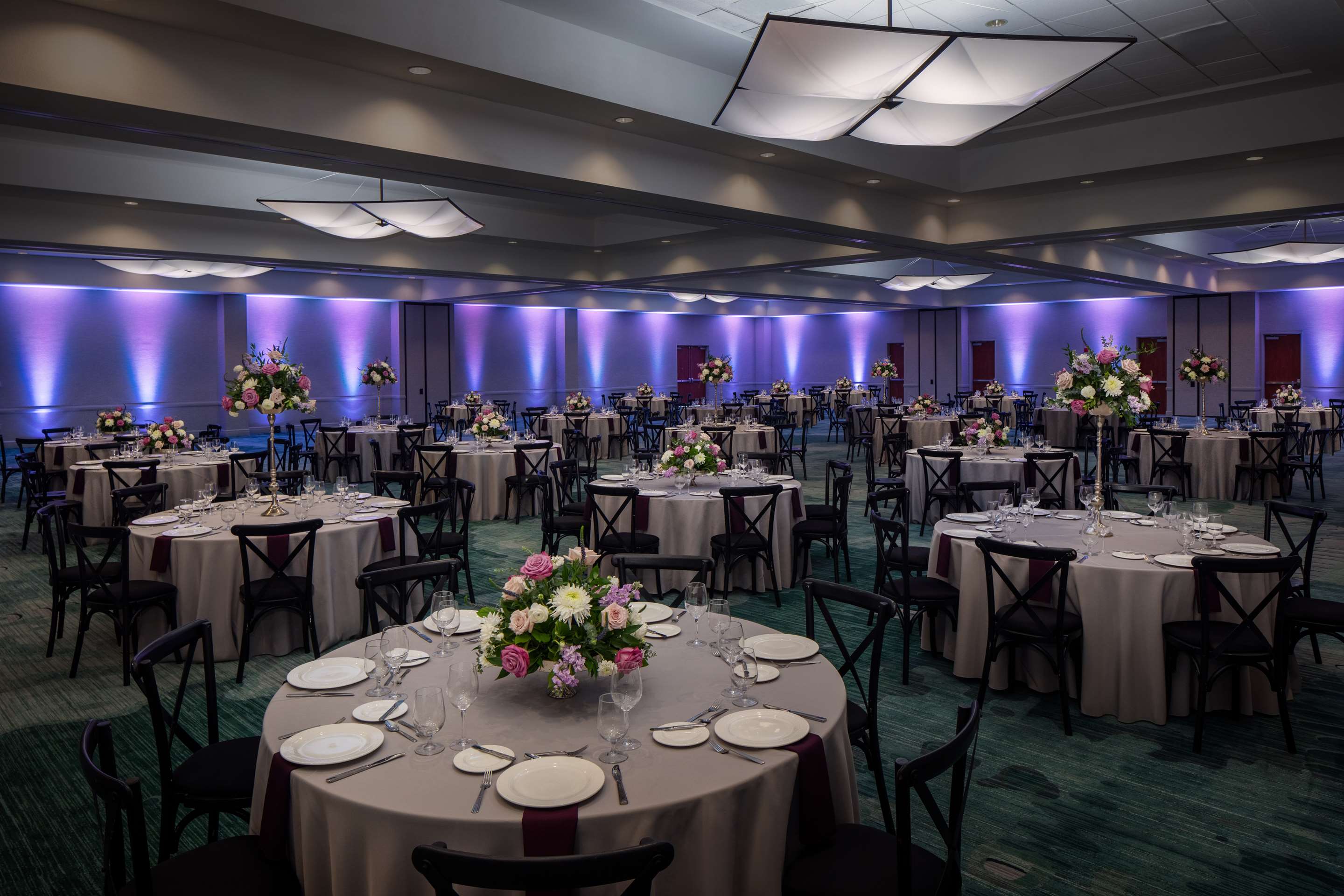 Meeting Room | Hilton St. Petersburg Carillon Park