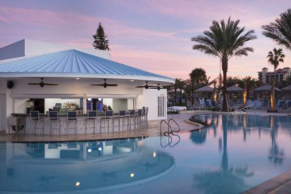 Pool - Hilton Clearwater Beach Resort & Spa
