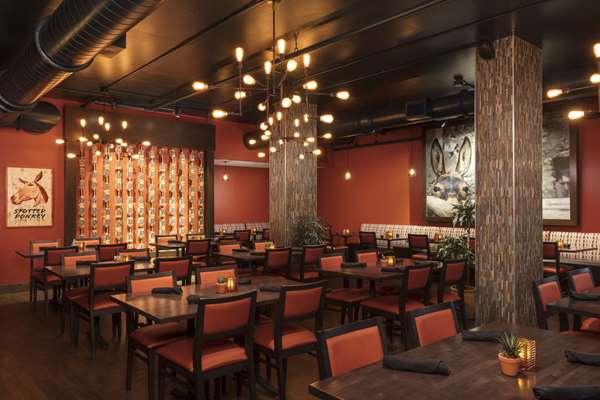 Restaurant - Hilton Clearwater Beach Resort & Spa