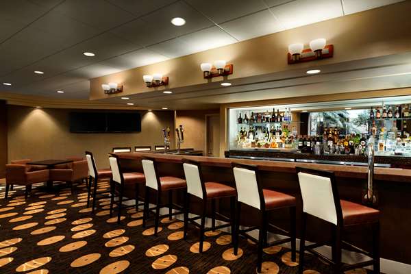Bar - Embassy Suites Piscataway - I-287, Exit 9