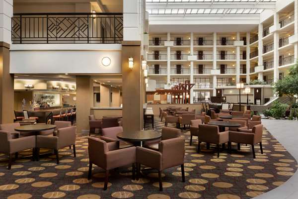 Bar - Embassy Suites Piscataway - I-287, Exit 9