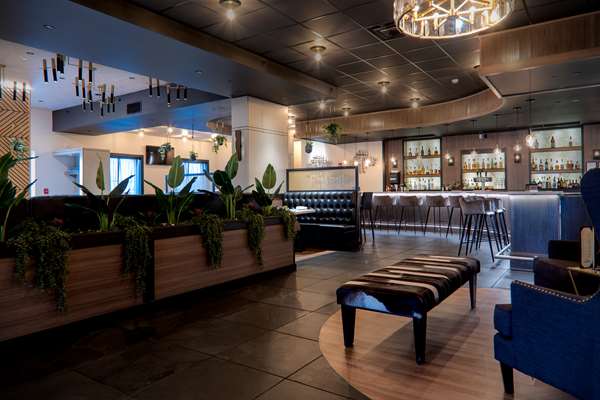 Restaurant - Hilton Garden Inn Canonsburg - I-79, Exit 48