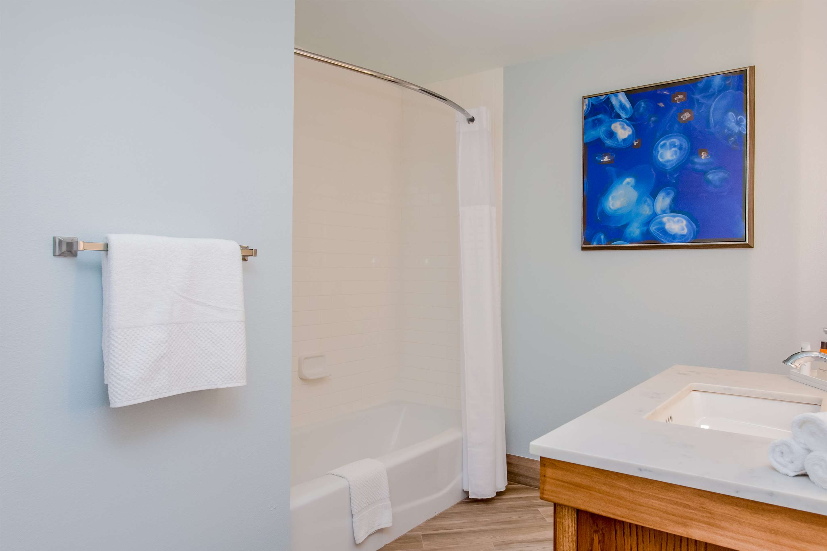 Guest room bath
