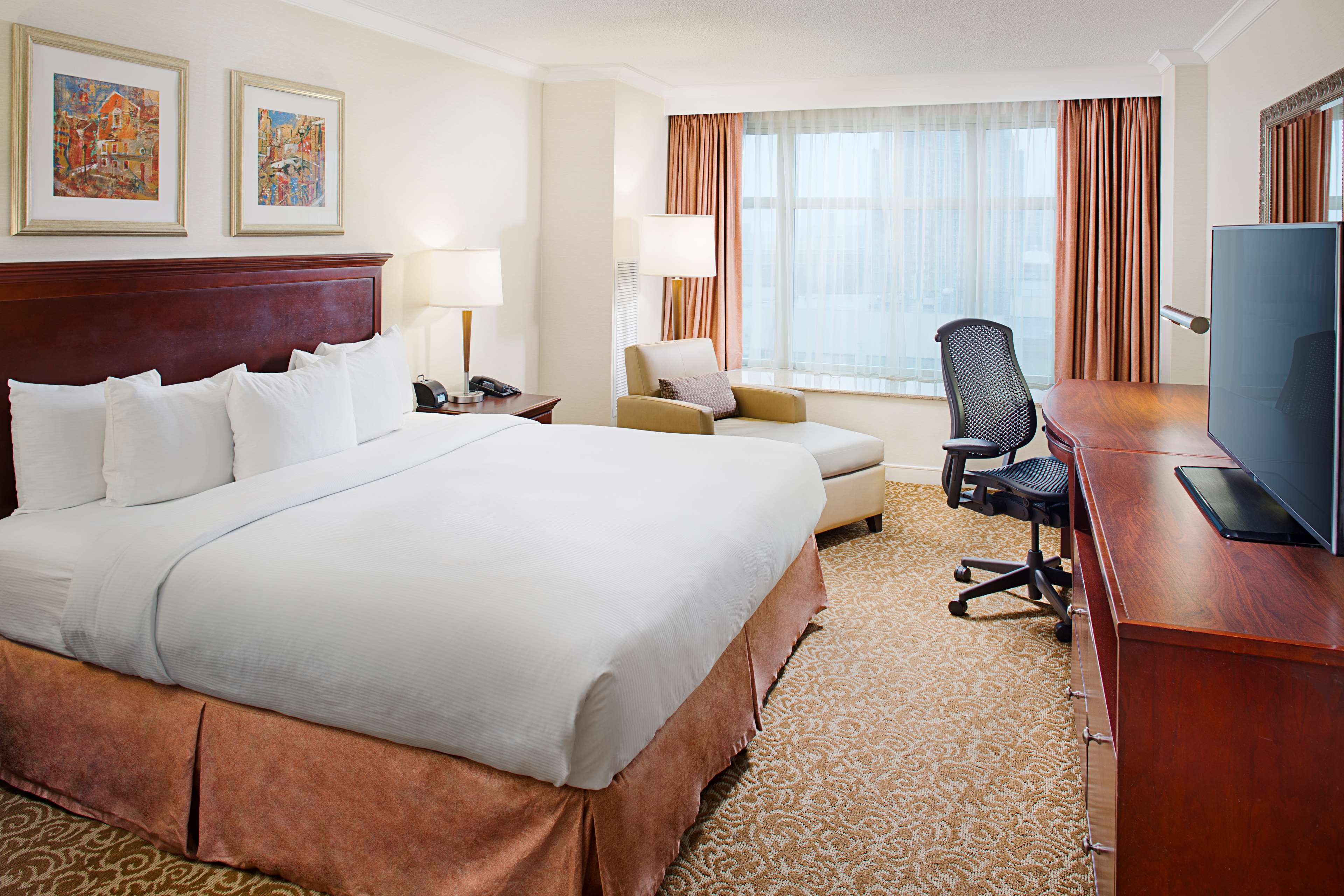 Hilton Providence Room Type - 1KNG MOB HEARNG ACC RI-SHW
