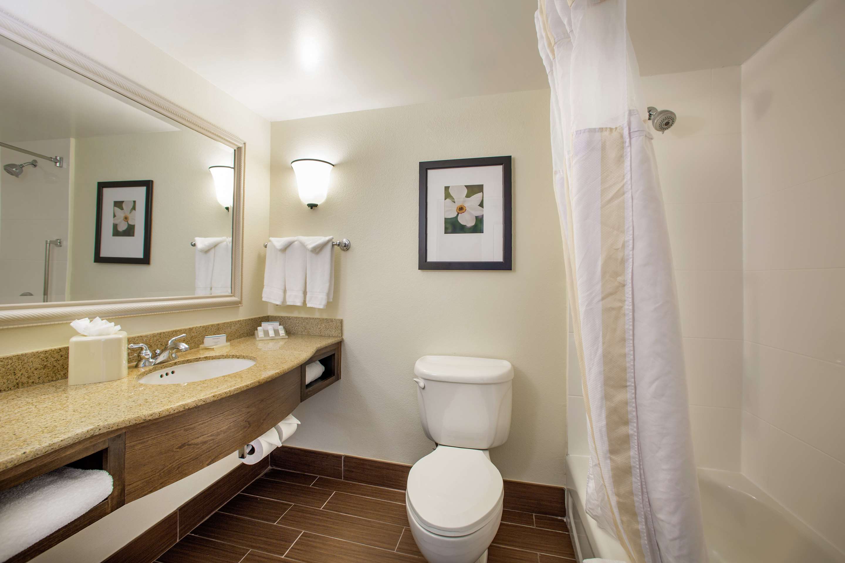 Guest room bath