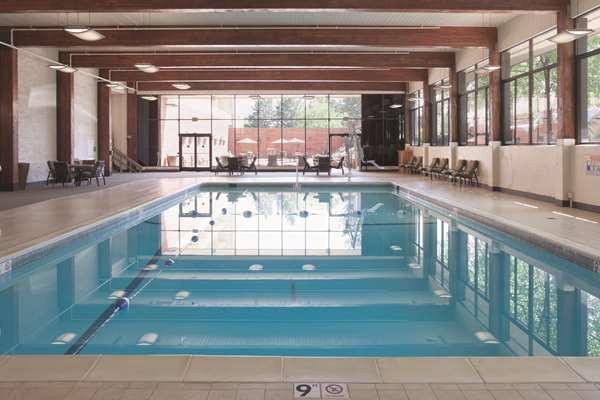 Pool - DoubleTree by Hilton Hotel Denver