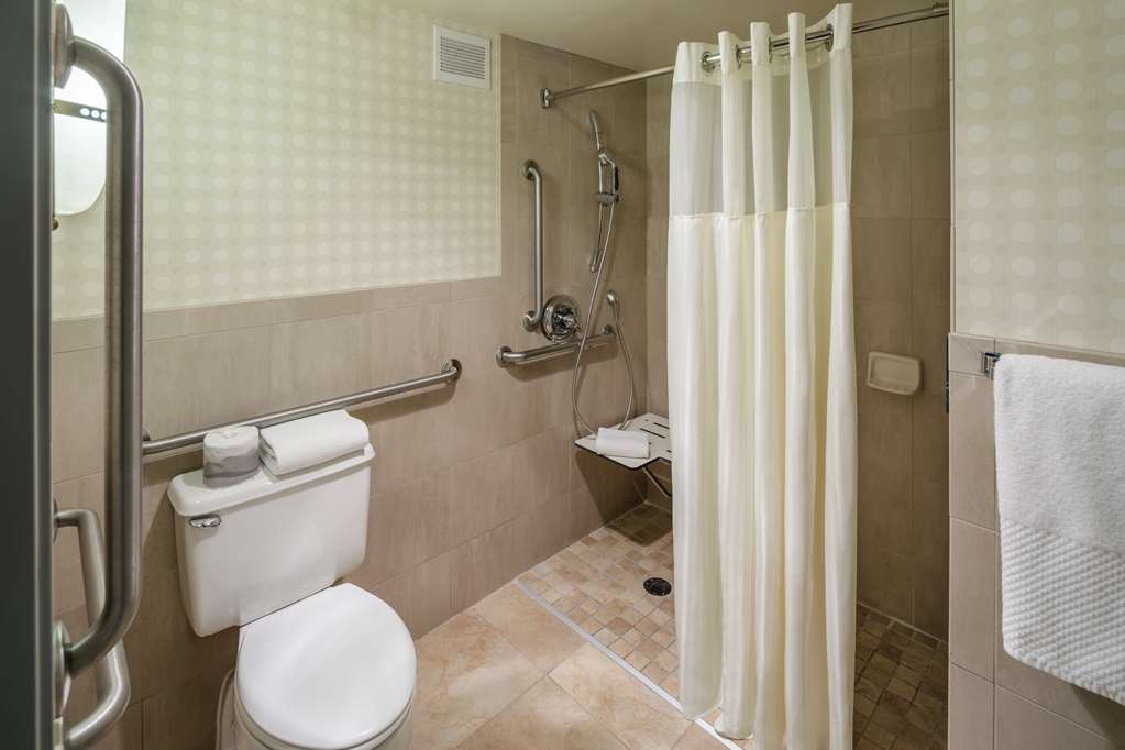 DoubleTree by Hilton Hotel Denver Room Type - 1 KING MTN VIEW ACC RI SH