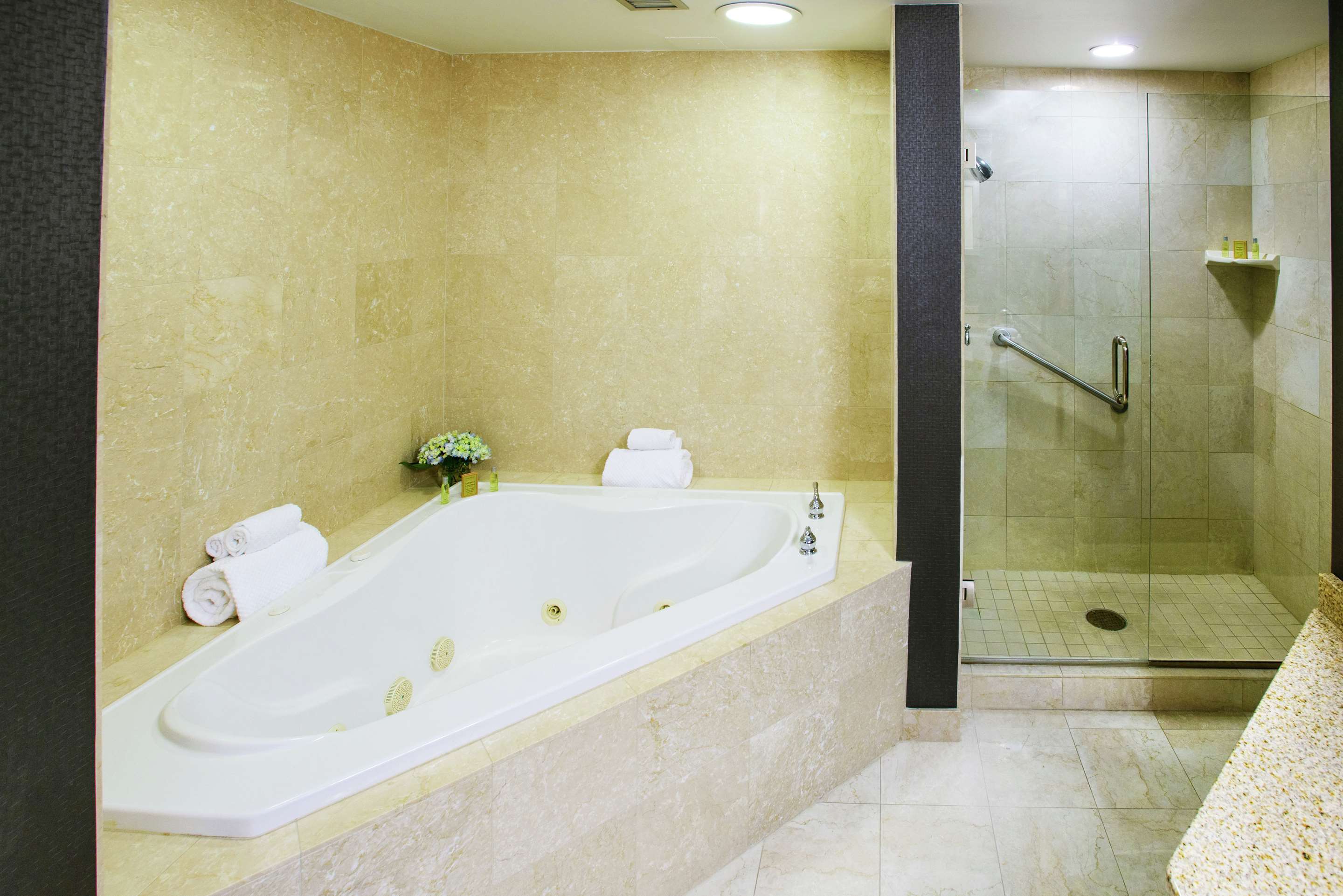 Guest room bath