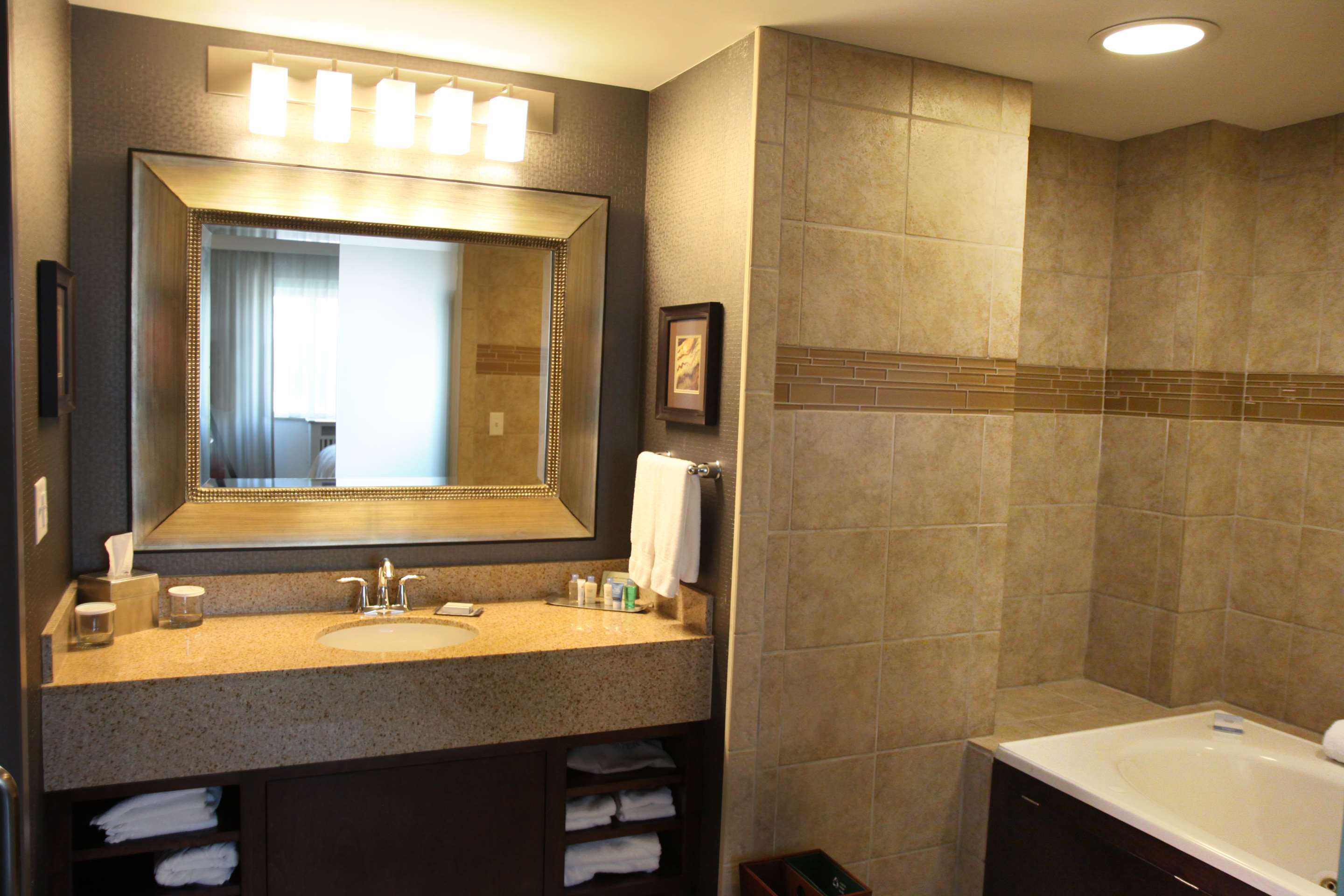 Guest room bath