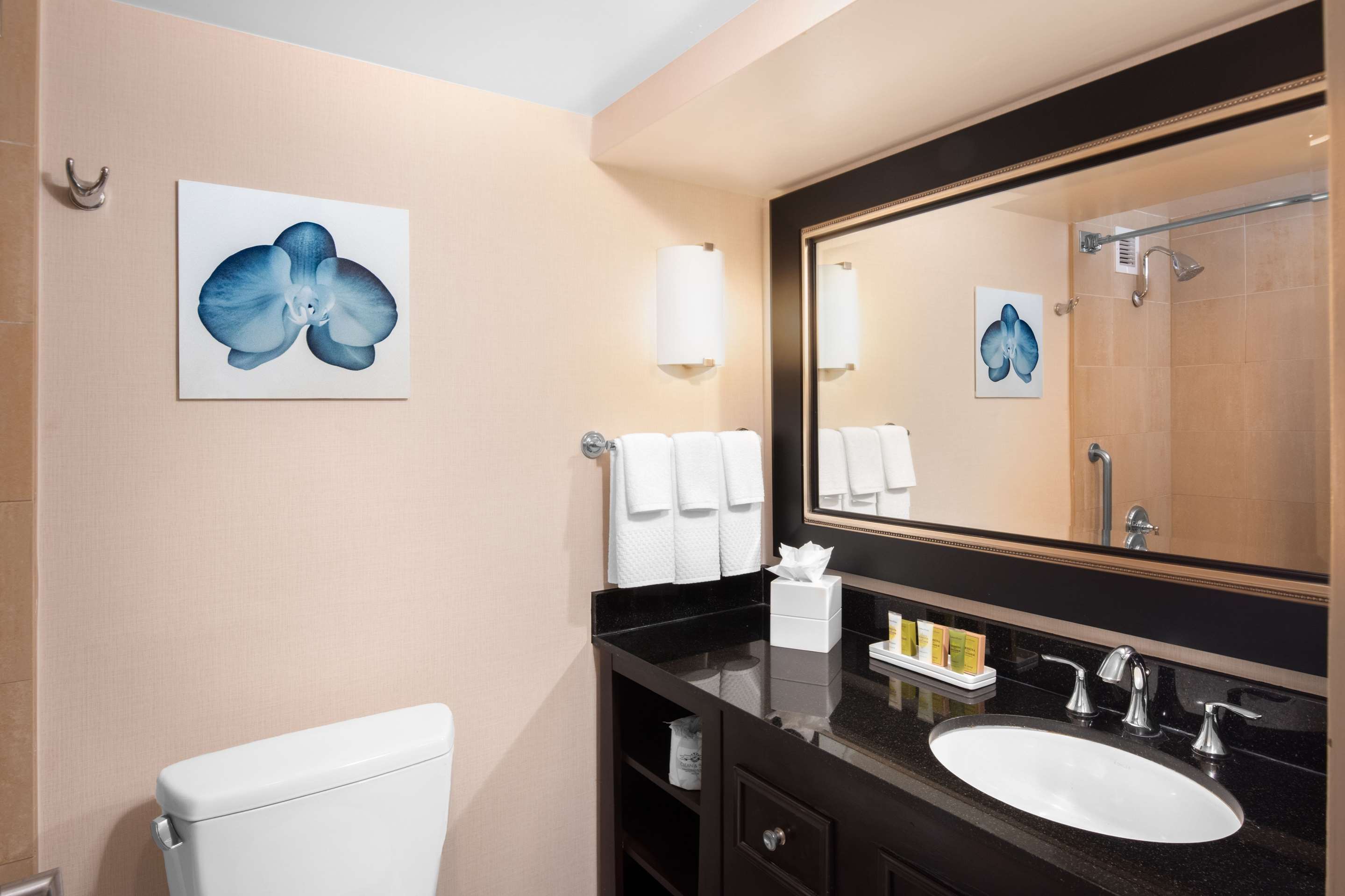 Guest room bath