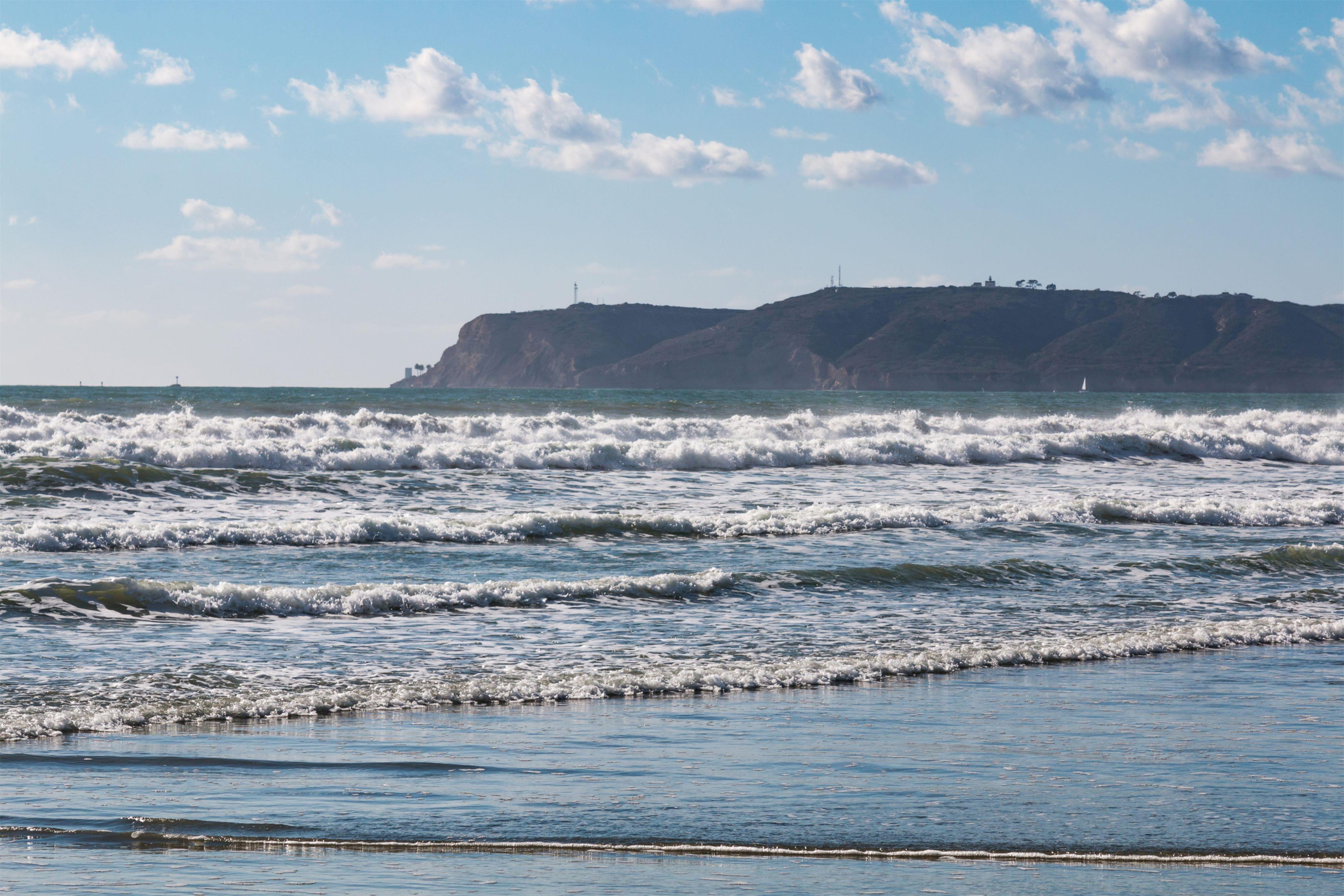 Beach | Hilton San Diego Bayfront