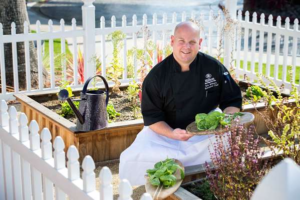 Restaurant - Hilton Hotel Del Mar - I-5, Exit 36