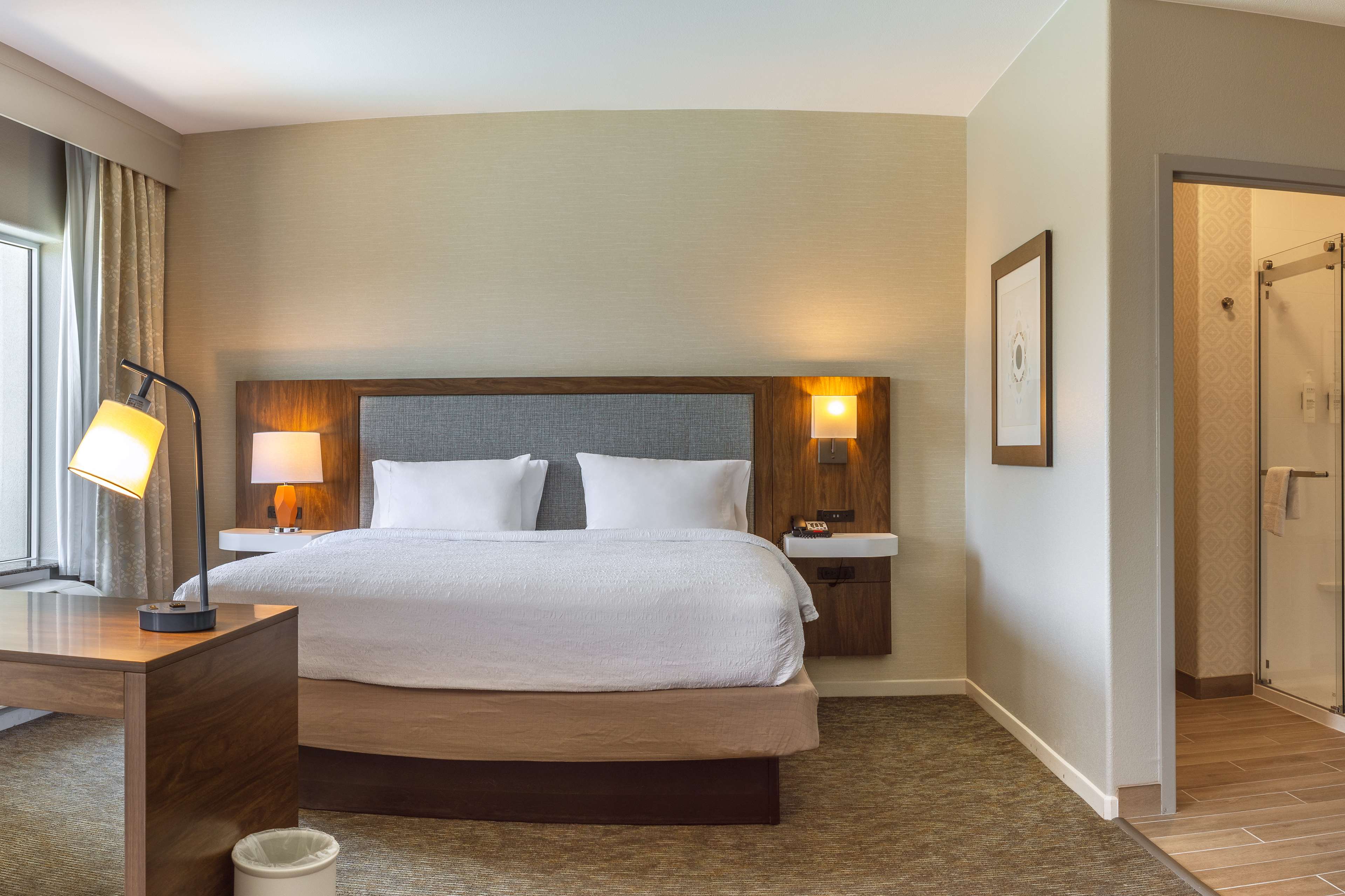 Hampton Inn & Suites by Hilton Boerne Room Type - 1KNG STUDIO BALCONY NOSMOK