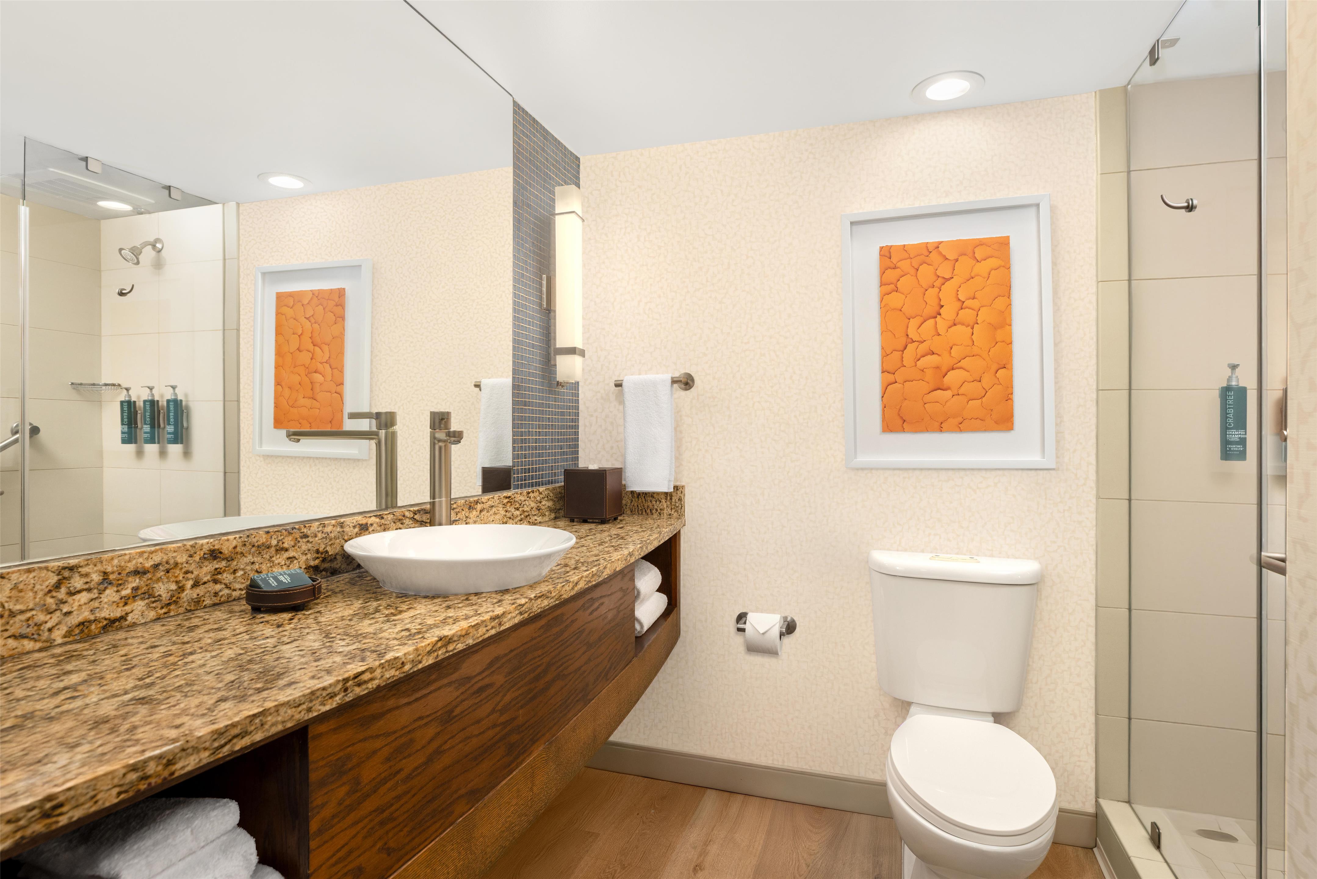 Guest room bath