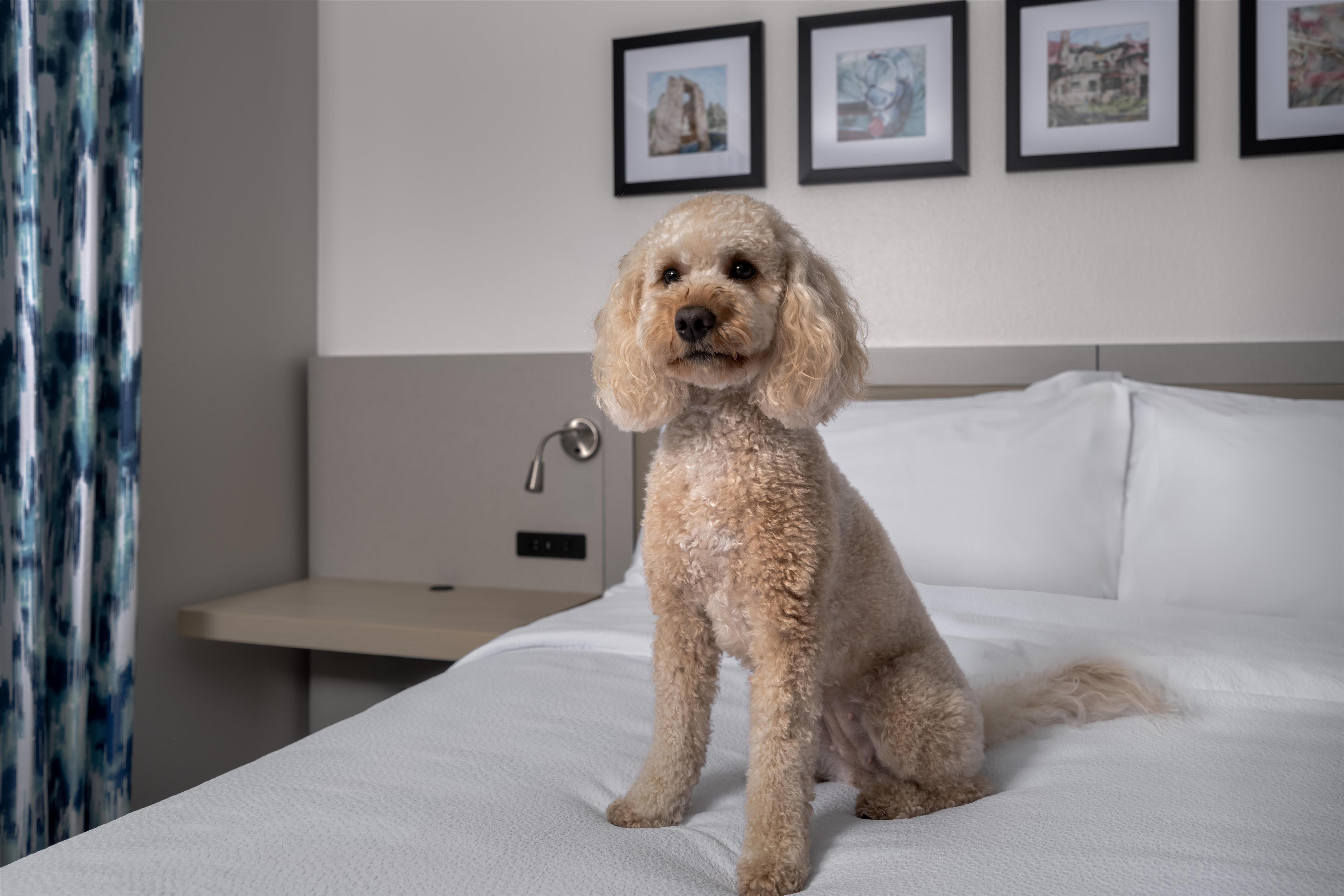 Miscellaneous | Hilton Garden Inn South Bend