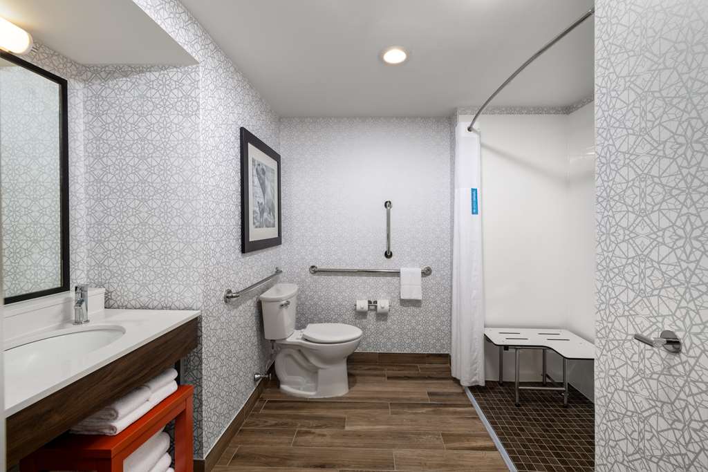Hampton Inn & Suites State College at Williamsburg Square Room Type - 1 KNG ACC ROLLIN SHWR NS