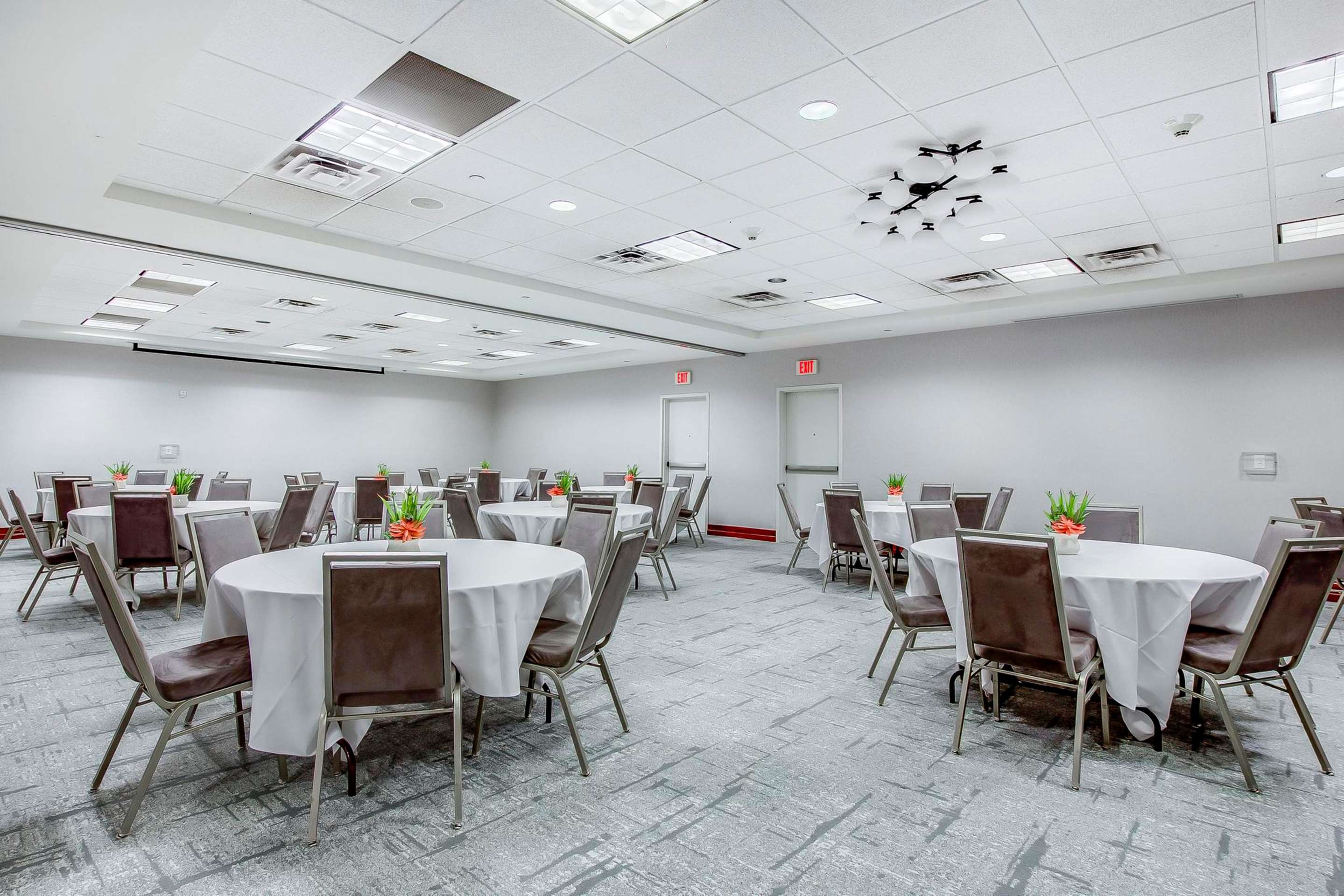 Meeting Room | Hilton Garden Inn Louisville/Northeast