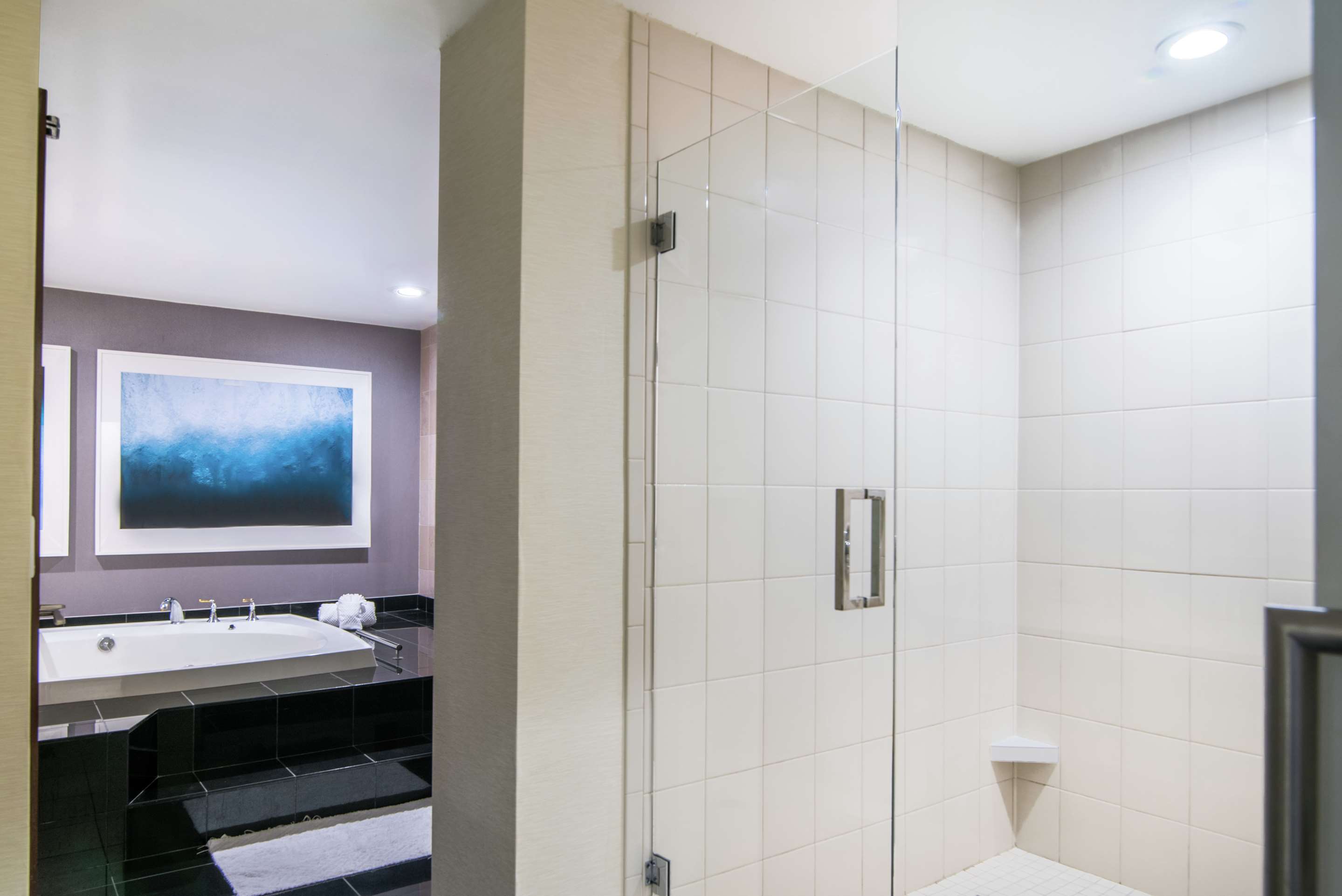 Guest room bath